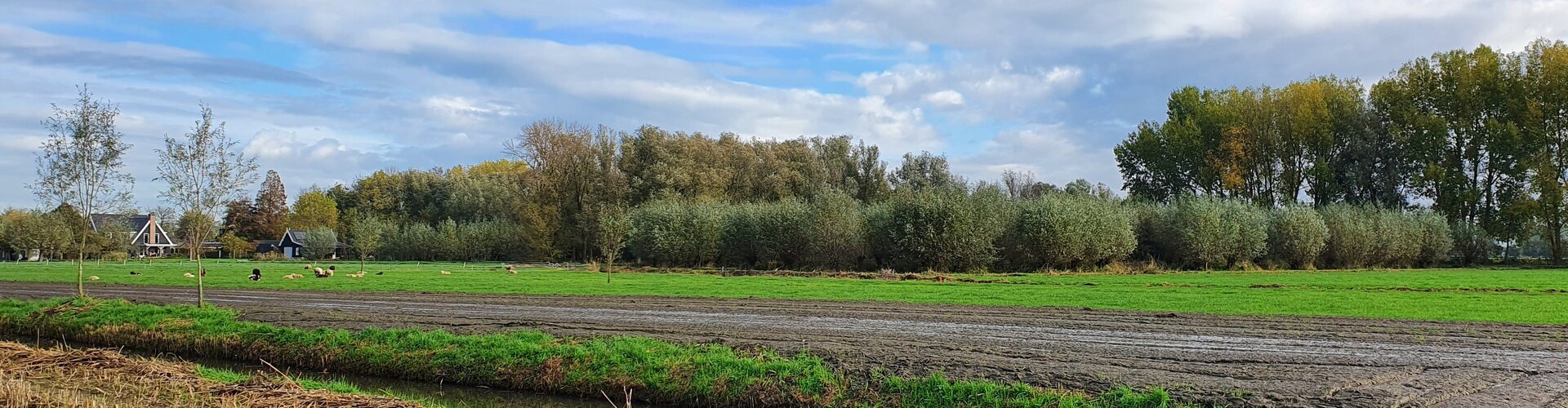 Natuurontwikkeling