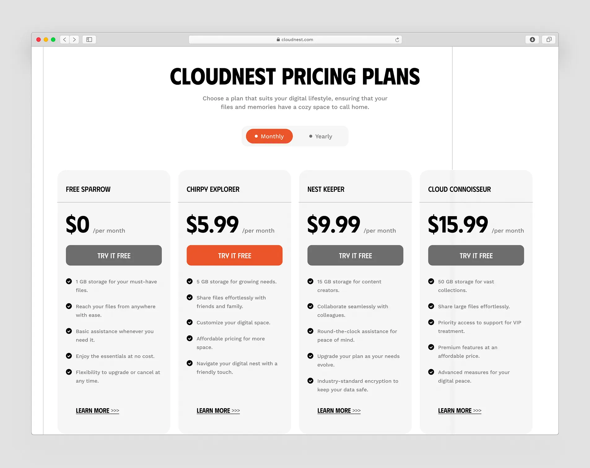Image of CloudNest Website Design