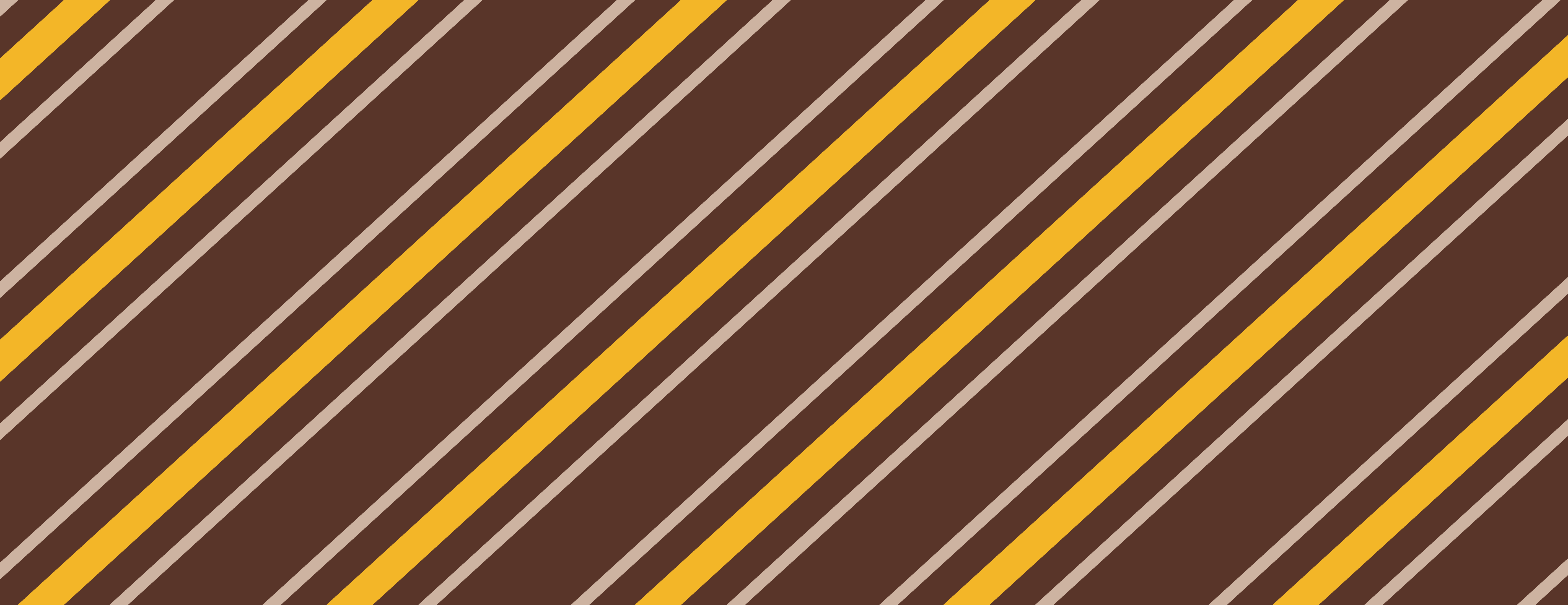 Open book with sunlight and shadows highlighting editorial typography design