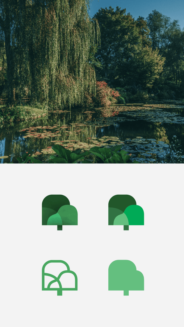 Split-image composition showcasing two sections. On the left, a serene natural scene featuring a weeping willow tree by a tranquil pond surrounded by lush greenery and lily pads, bathed in natural daylight. On the right, a grid displaying four distinct variations of the Willow brand logo, each designed for different usage scenarios, with consistent tree-inspired elements in various green tones and styles.