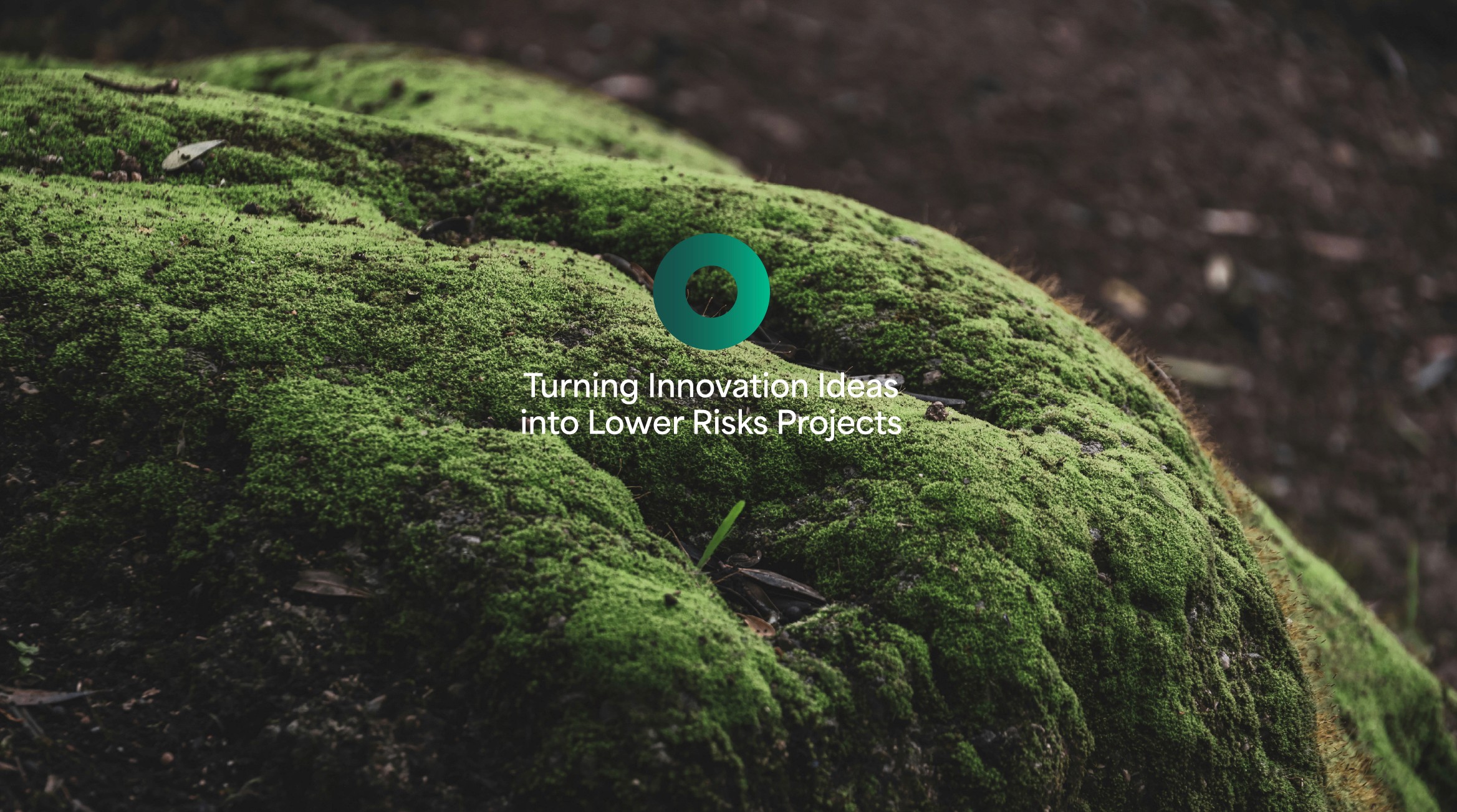 CCSolutions Brand Identity - Clean and modern corporate visual identity design for a consulting firm.