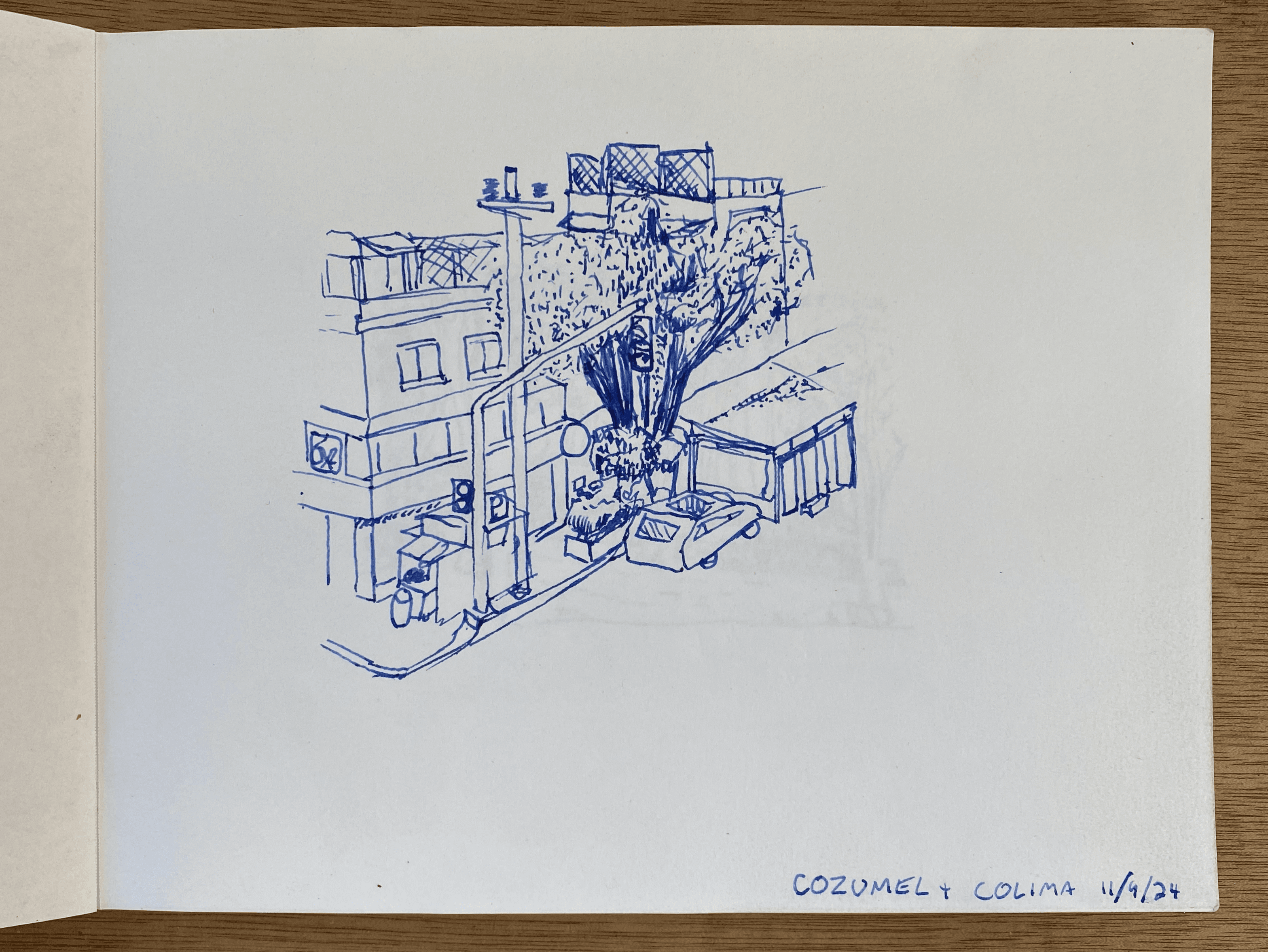 Theo Berry: Urban Sketch in Mexico City