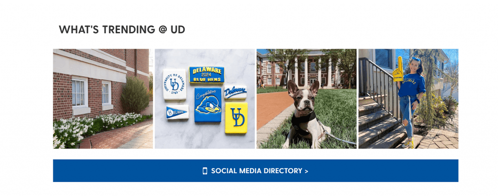 instagram wall example