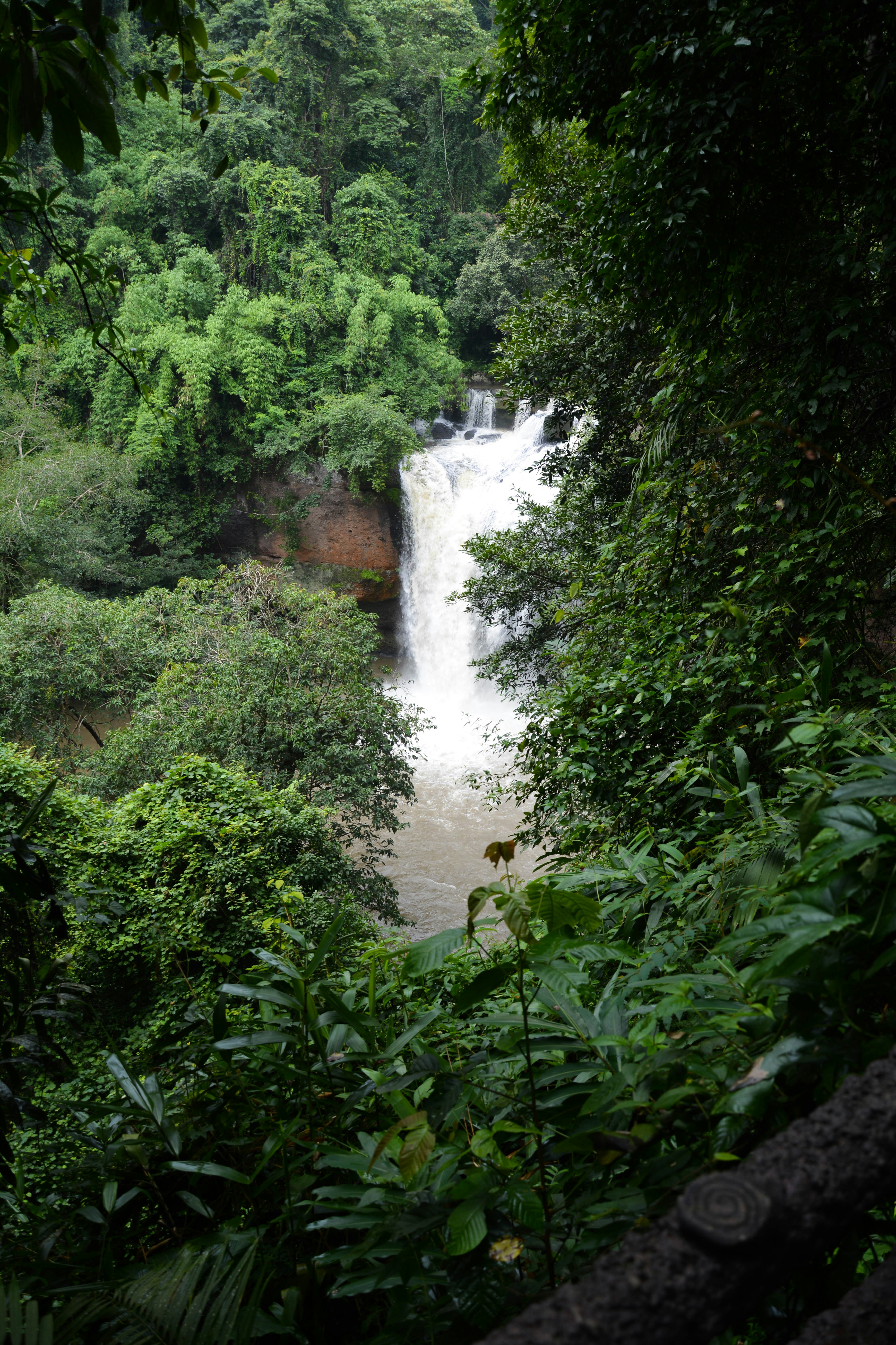 thai jungle waterfall hike, women's yoga retreat thailand 2025