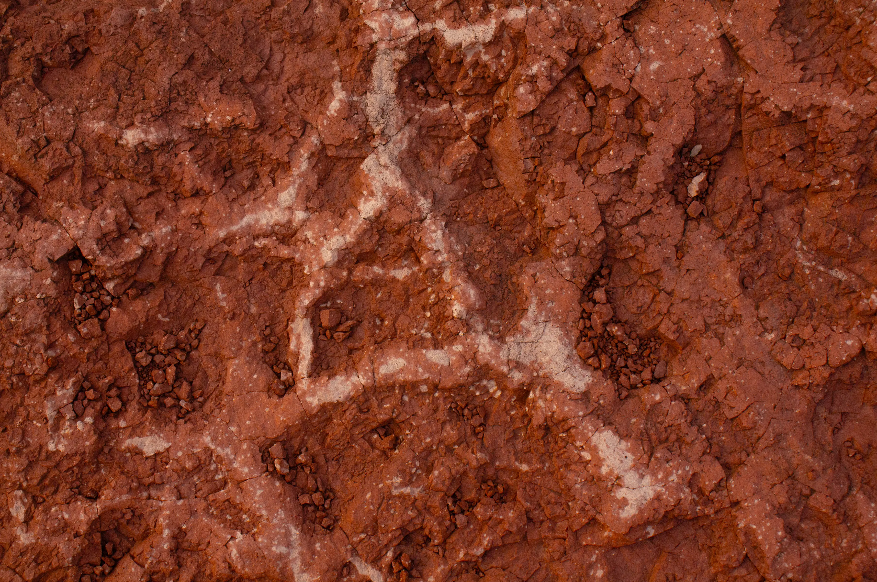 Close-up of cracked red rock with pale mineral veins running across the surface.