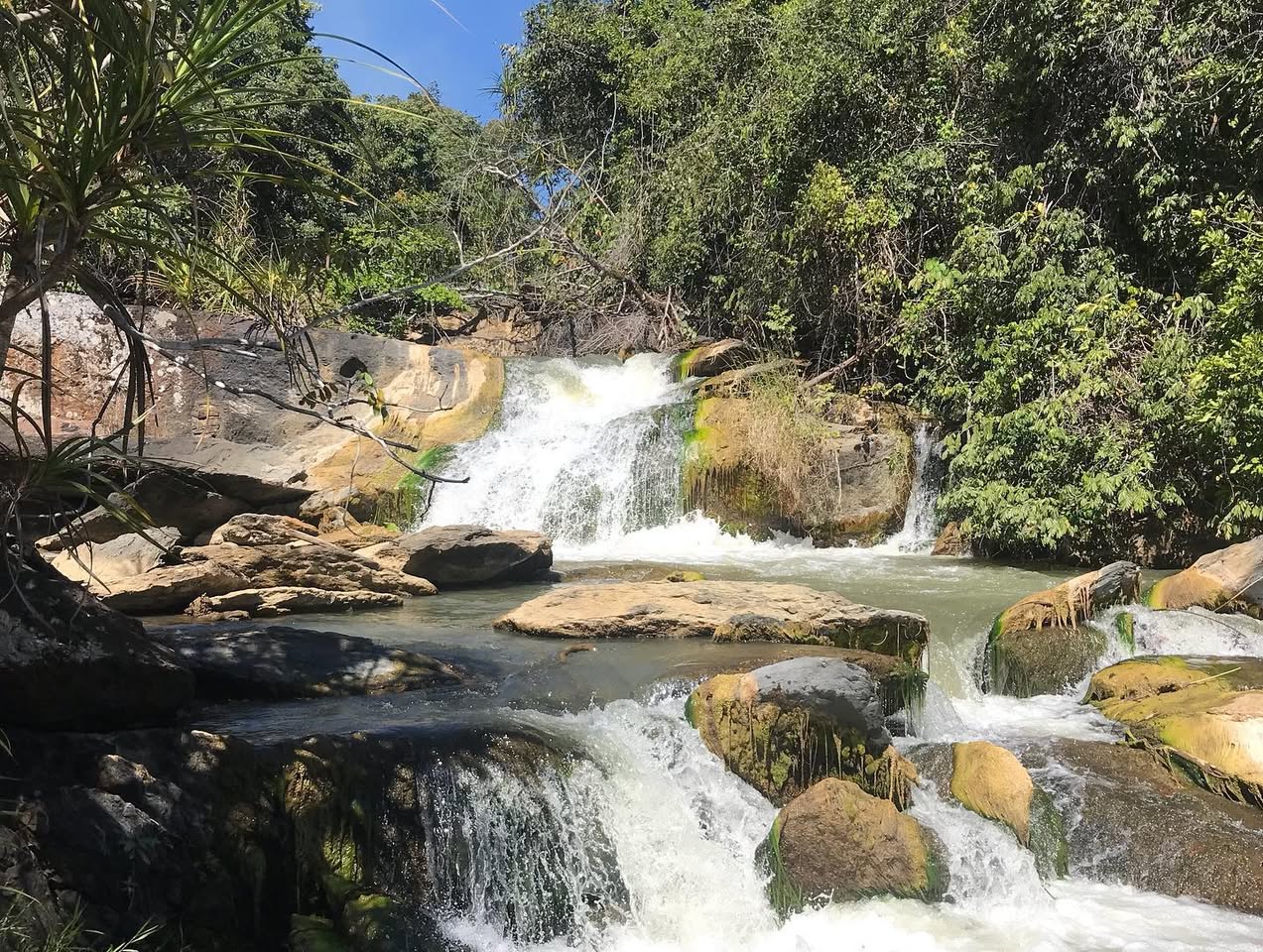 About Our Invest Firm Illustration Center Section About - Invstor X Framer Template