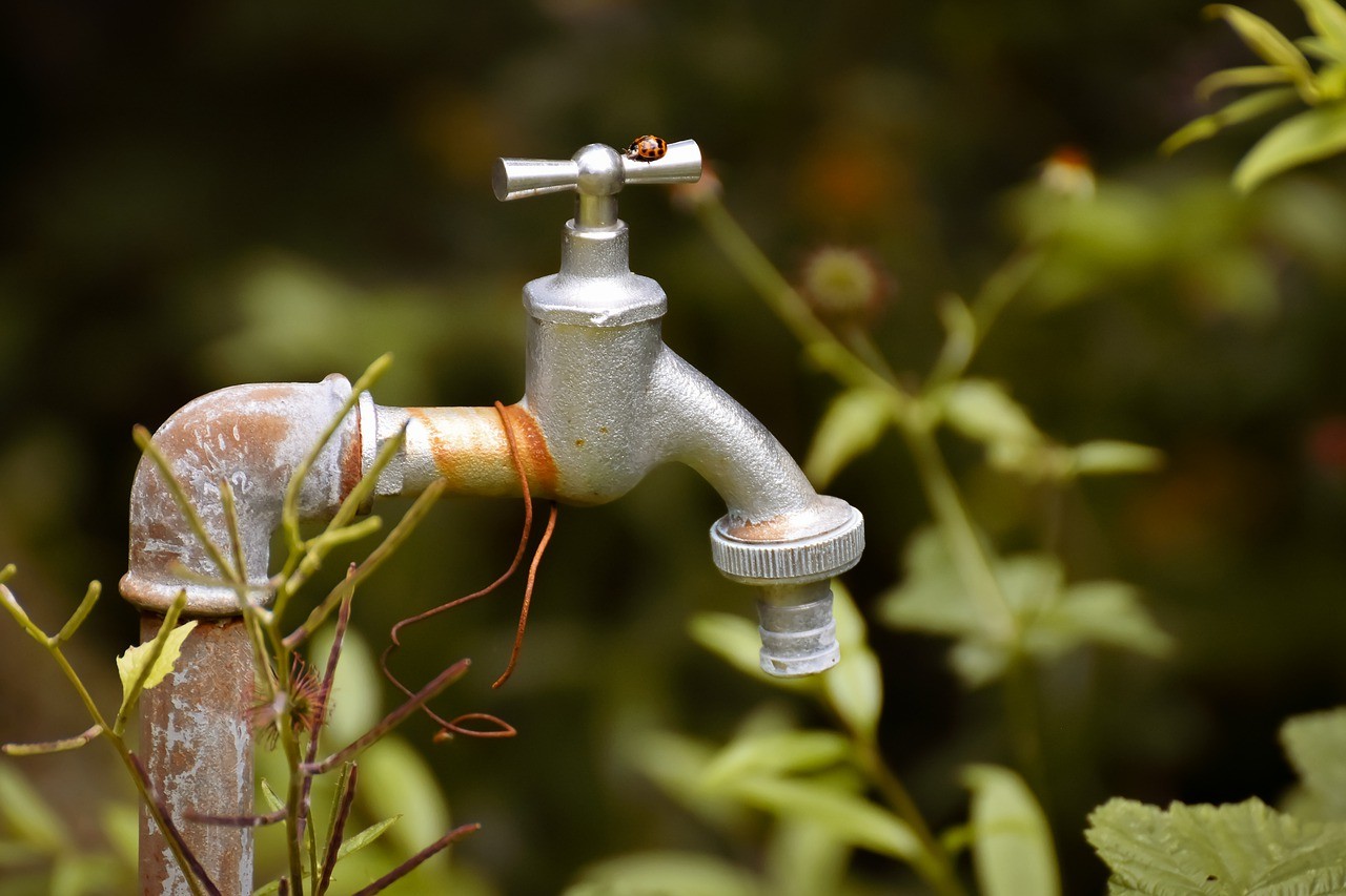 national centre for excellence - cbse schools - water conservation