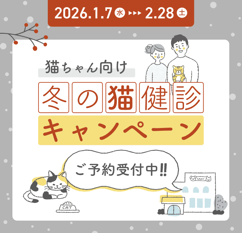 冬の健康診断キャンペーン（猫の健診・血液検査・X線検査）