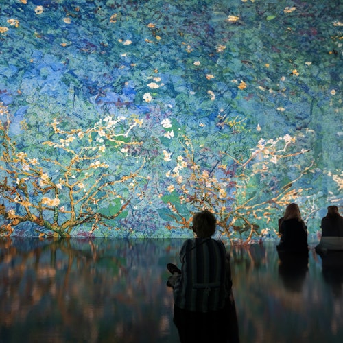 Immersive Van Gogh Las Vegas