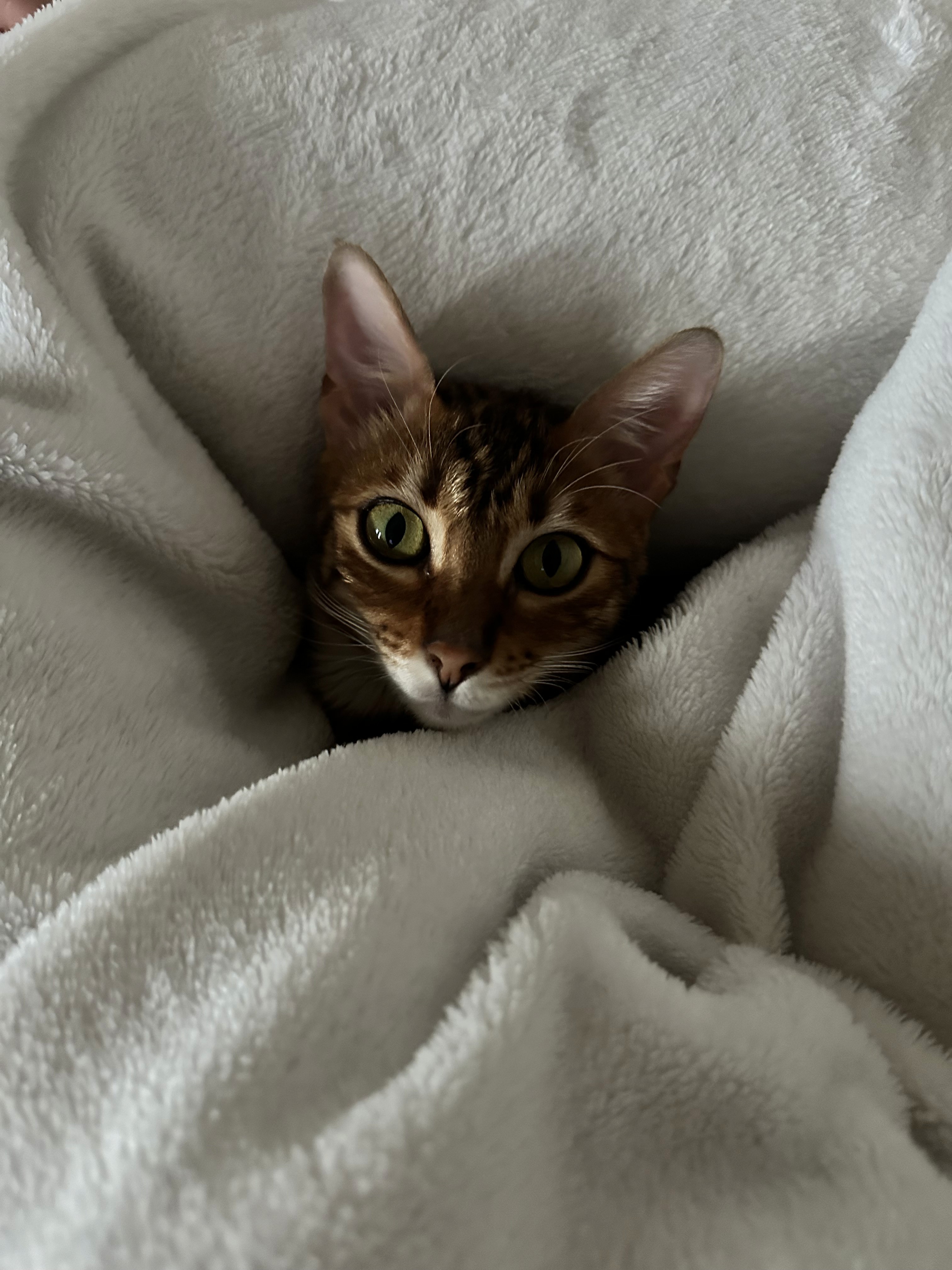 Una&Co photo Visite à domicile