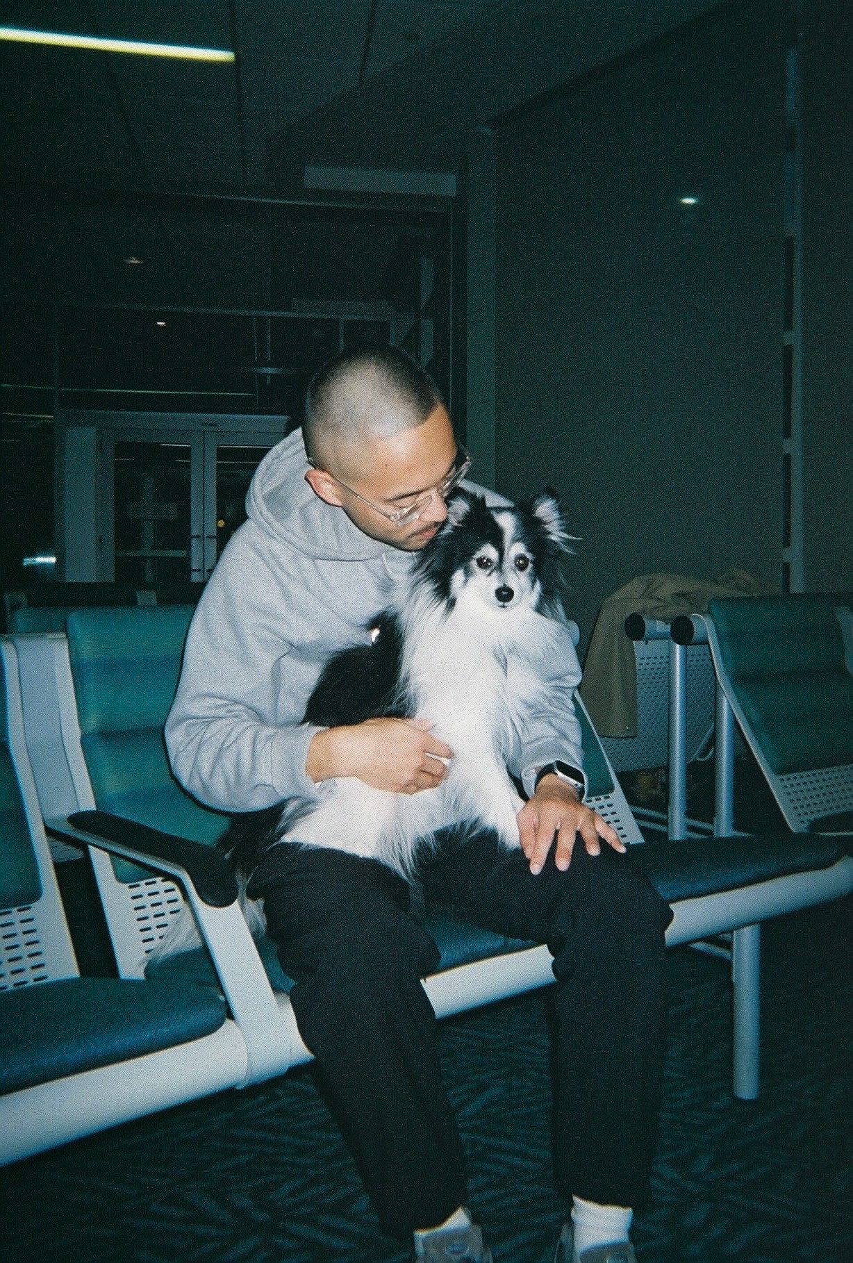 A fast black sports car races down the highway.