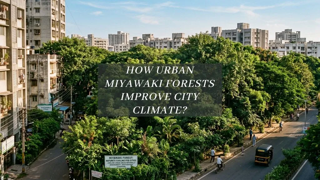How Miyawaki Forests Can Help Cool Indian Cities Naturally