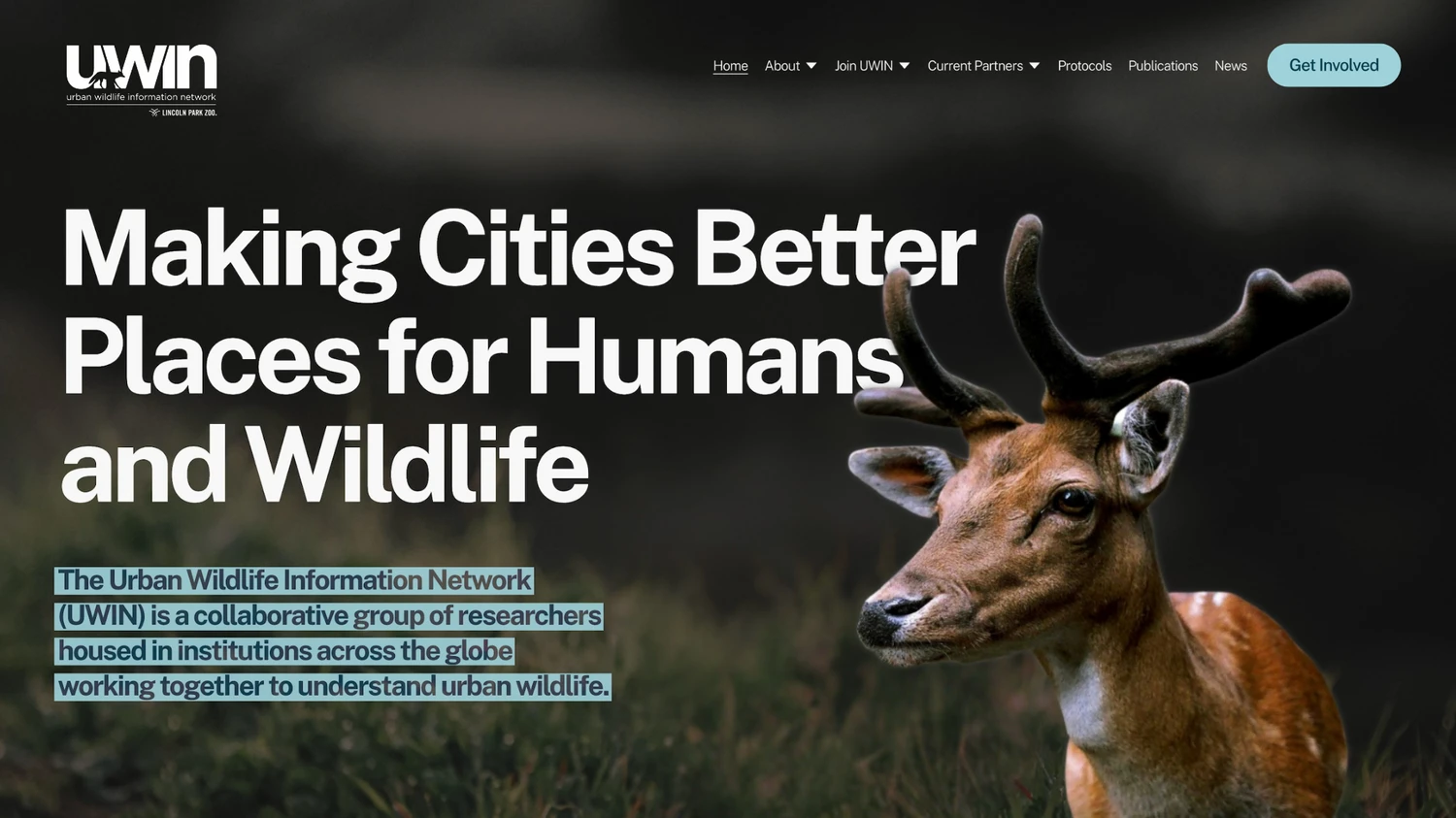 Nonprofit website by Vancouver Website Designer Brittany Taylor