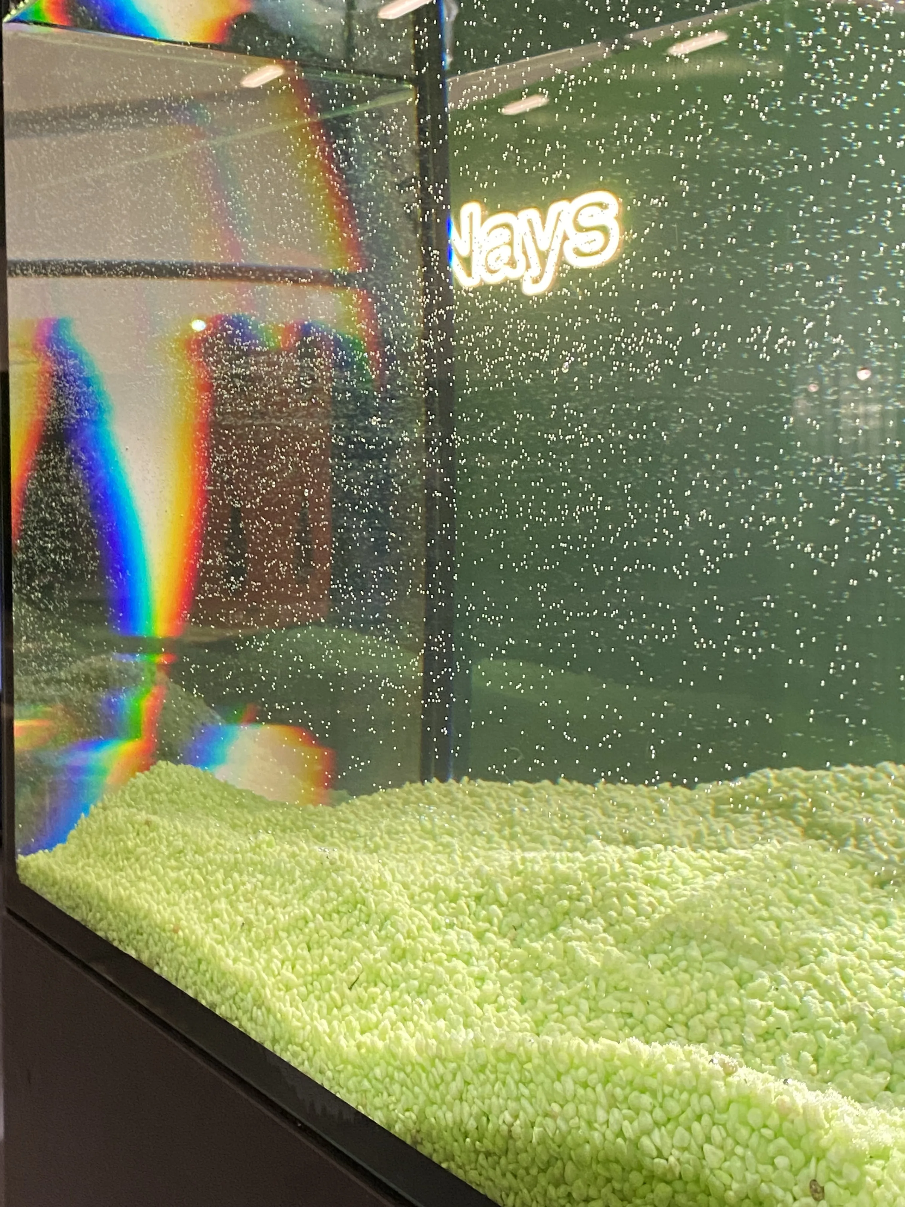 Close-up of the bubbling aquarium with neon-green gravel and the glowing Nays neon sign reflected in the glass.