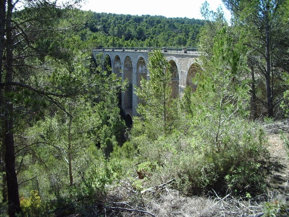 Arxiu d’imatges de l’Observatori del Paisatge de Catalunya (Stephanie Wilbrand).  Xerta