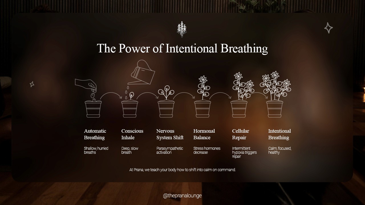 The power of intentional breathing