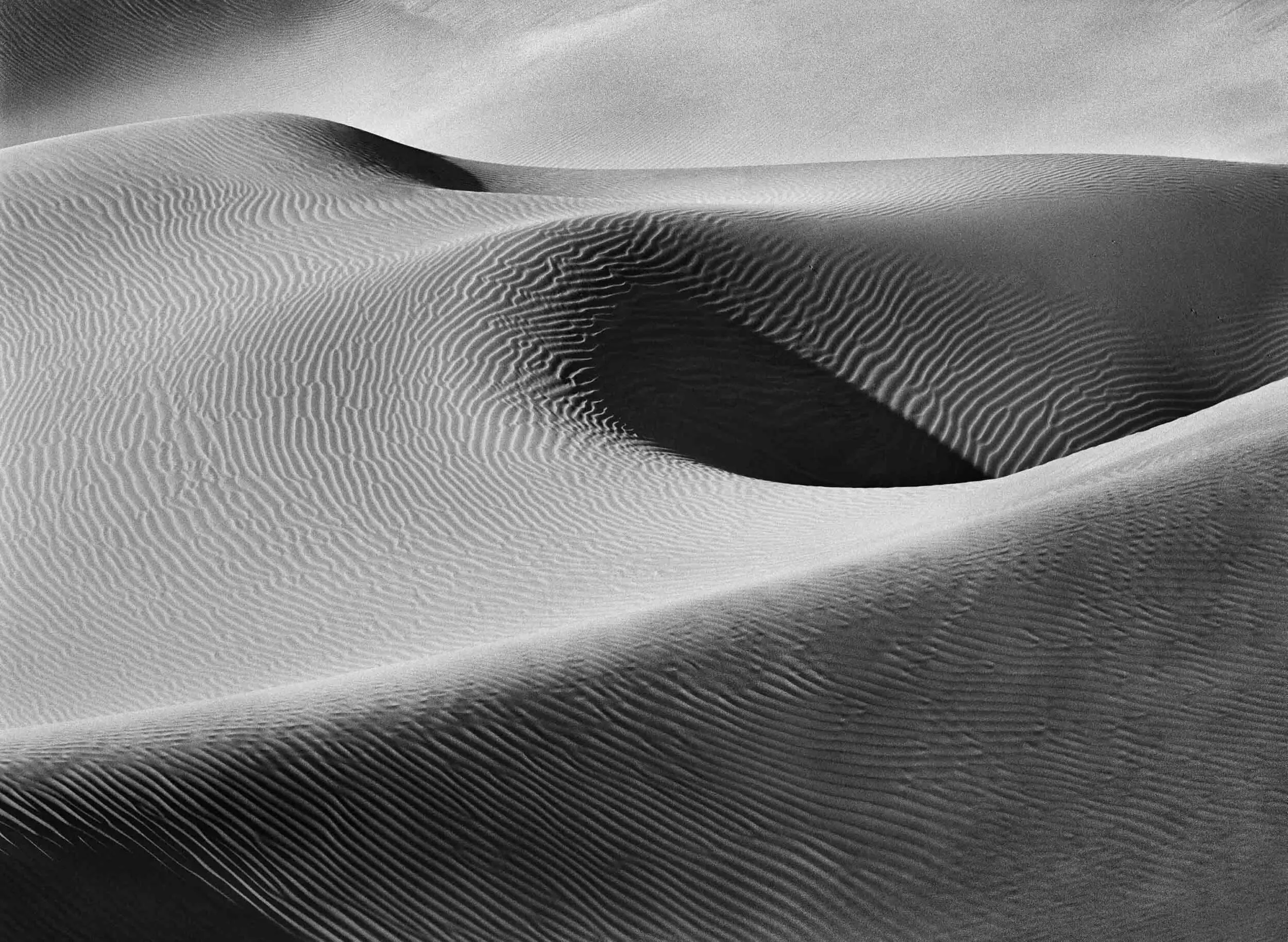 Close-up of sweeping sand dunes with fine rippled textures and deep shadow cutting between the crests, black and white
