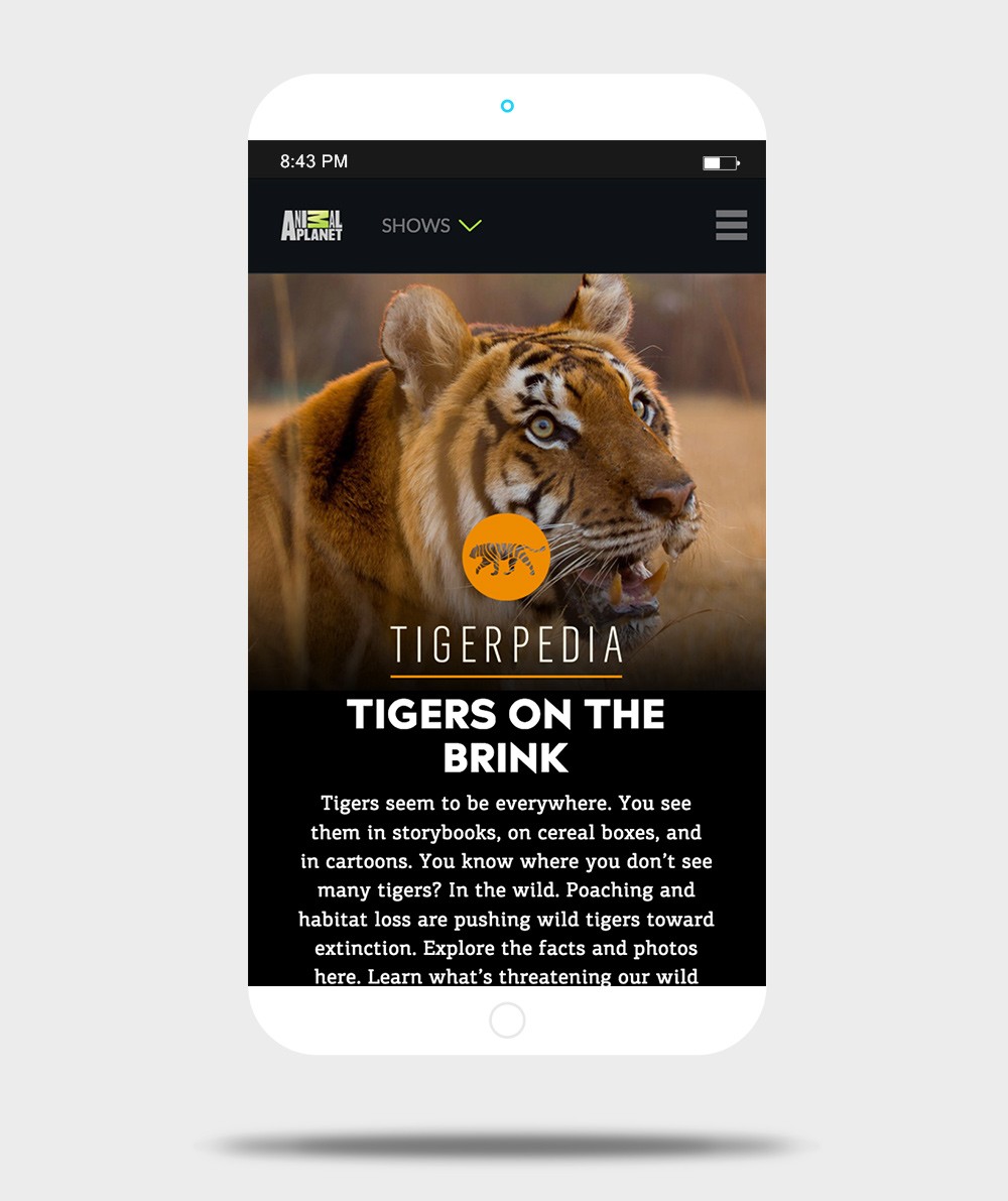 Project Gallery Image for 50% width of the screen #1