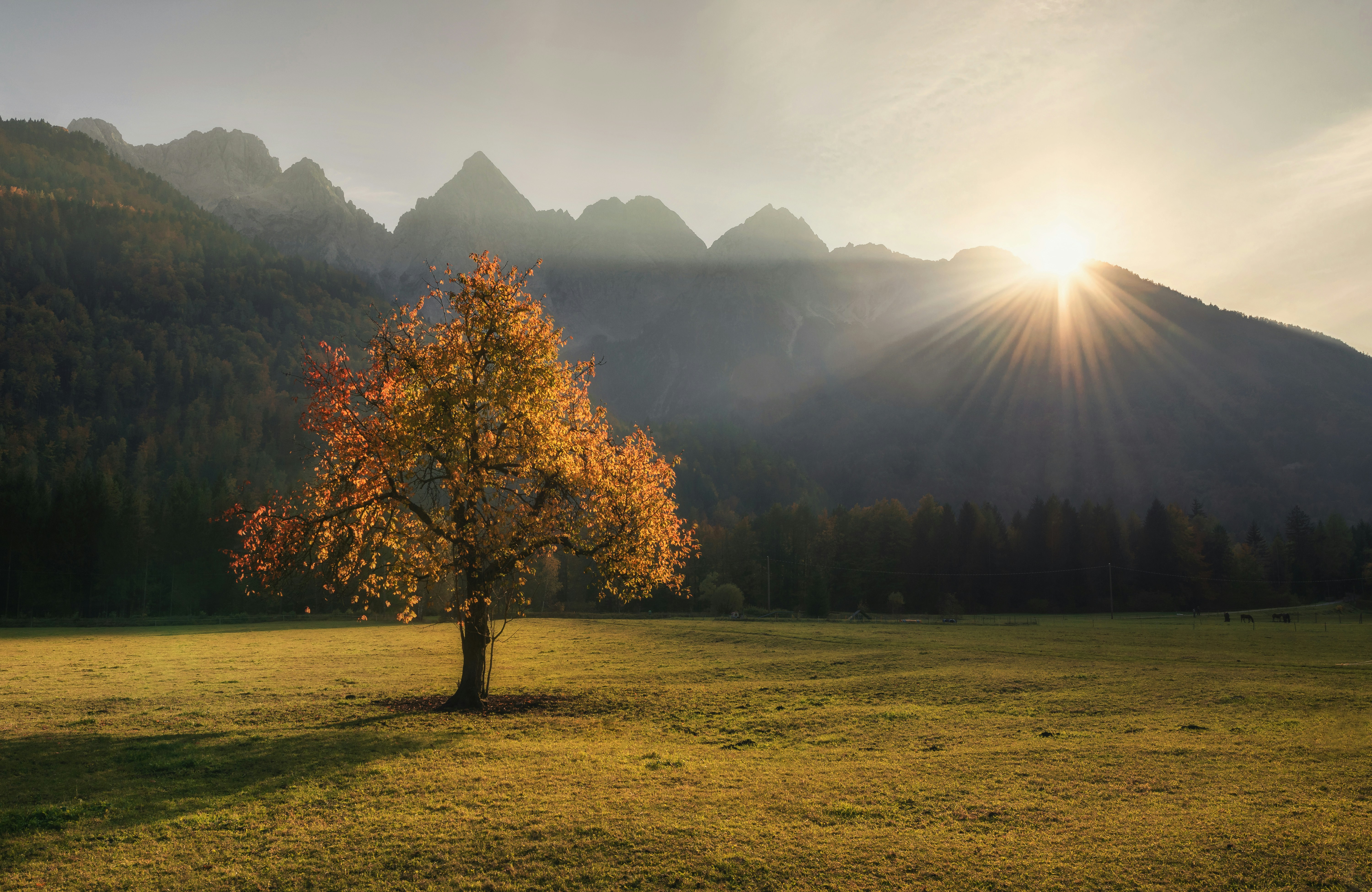 Sunrise Over Mountain