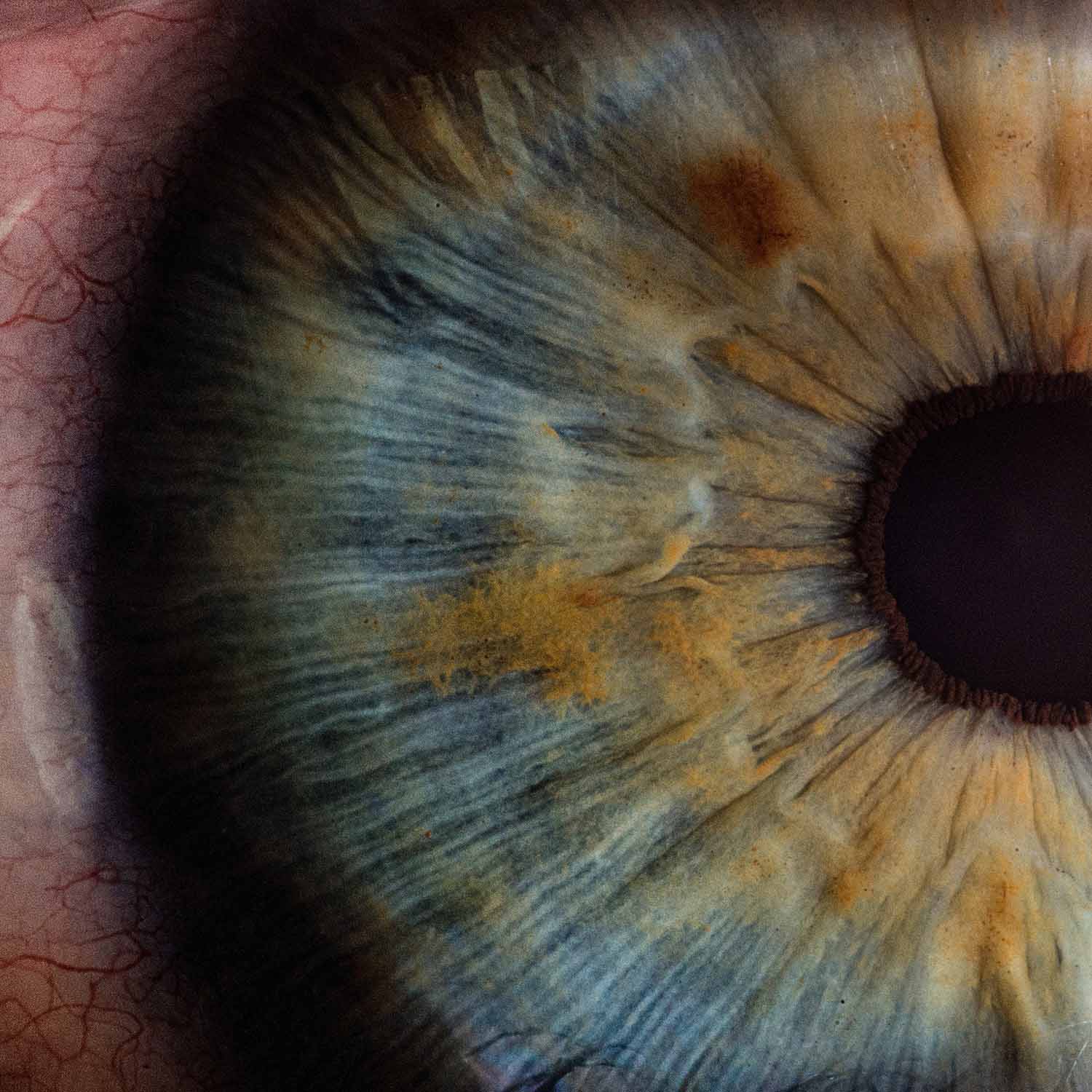 Visuelt design og Grafisk Formgivning