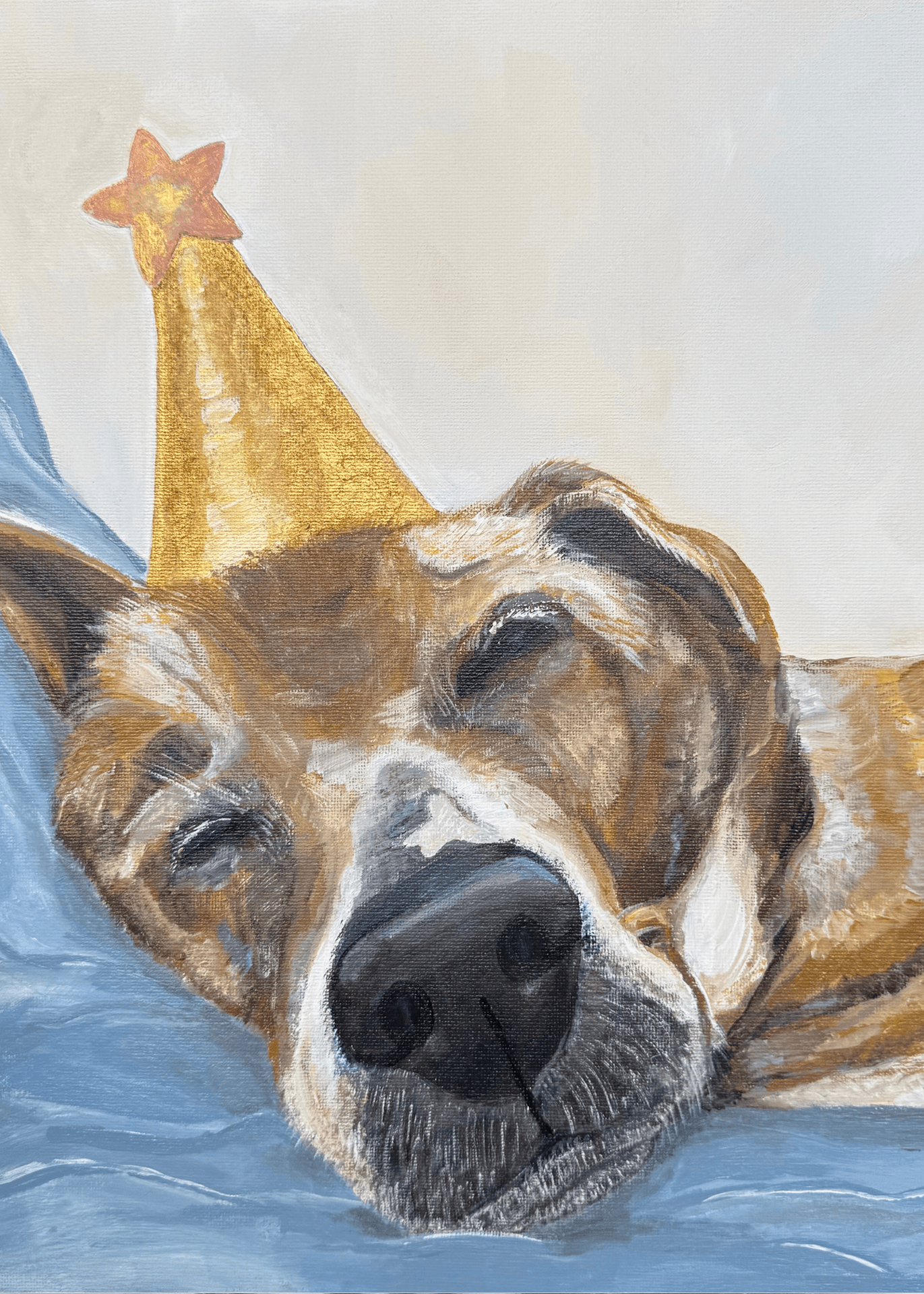Bobo dog portrait