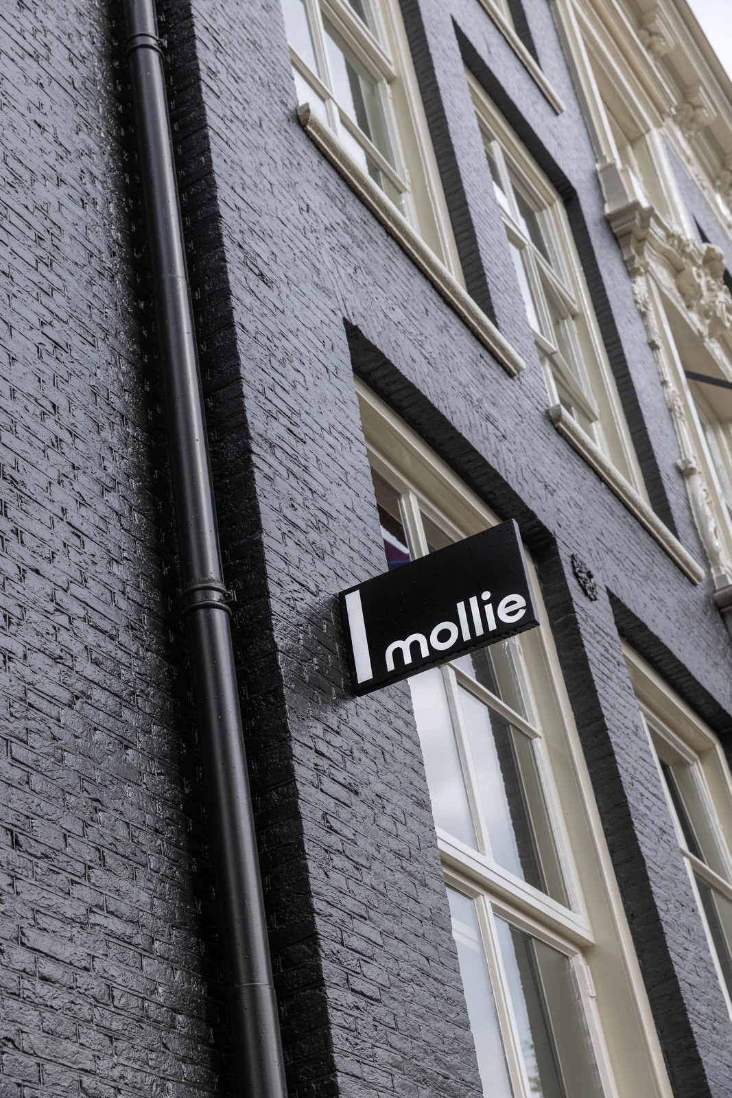 Positive Space - Mollie HQ signage