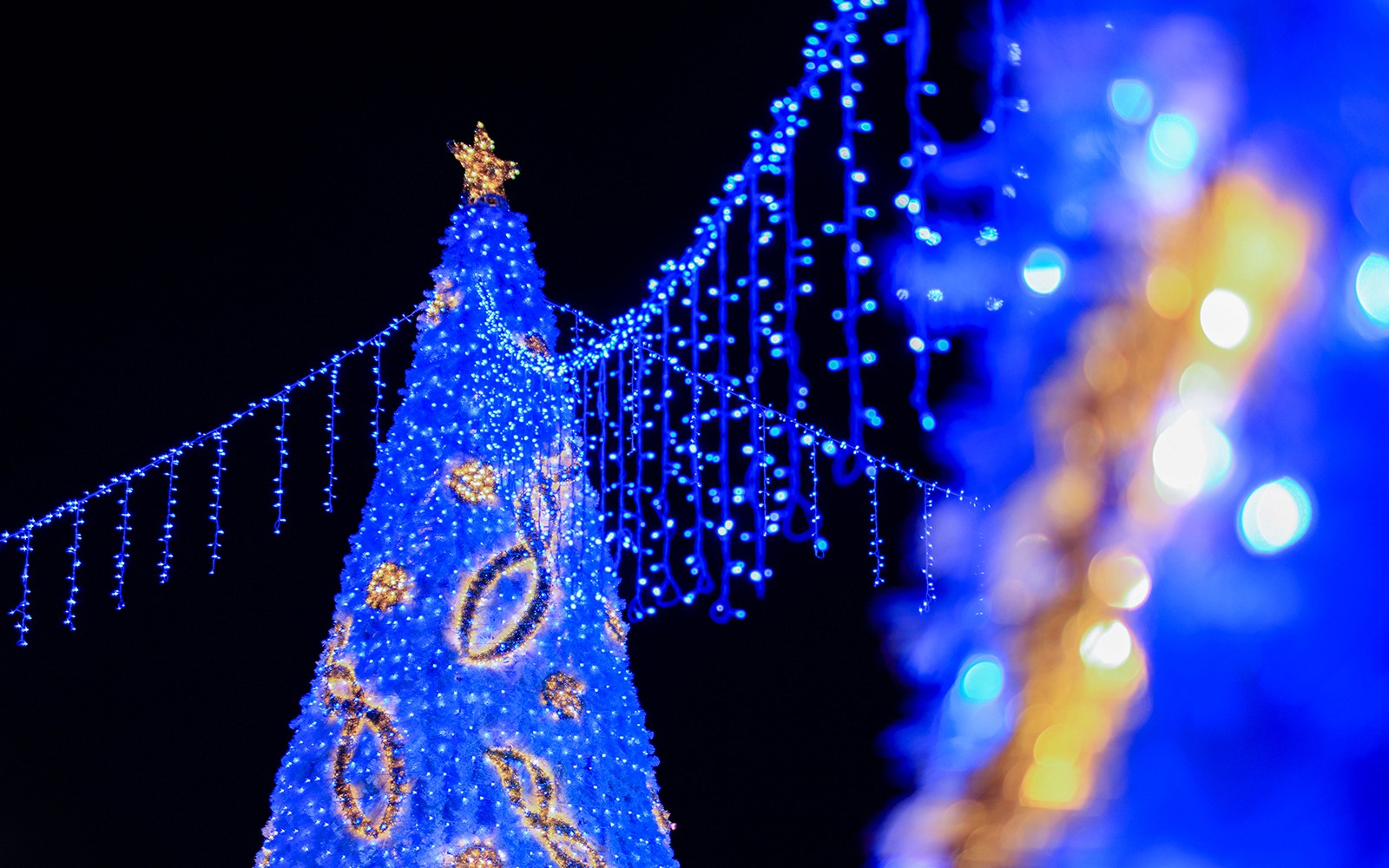 Lampu Natal di Gardens By The Bay, Singapura