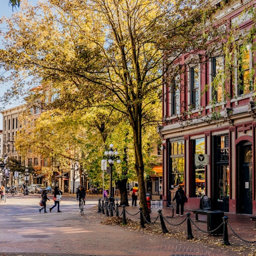 温哥华导览巴士游与斯坦利公园徒步游