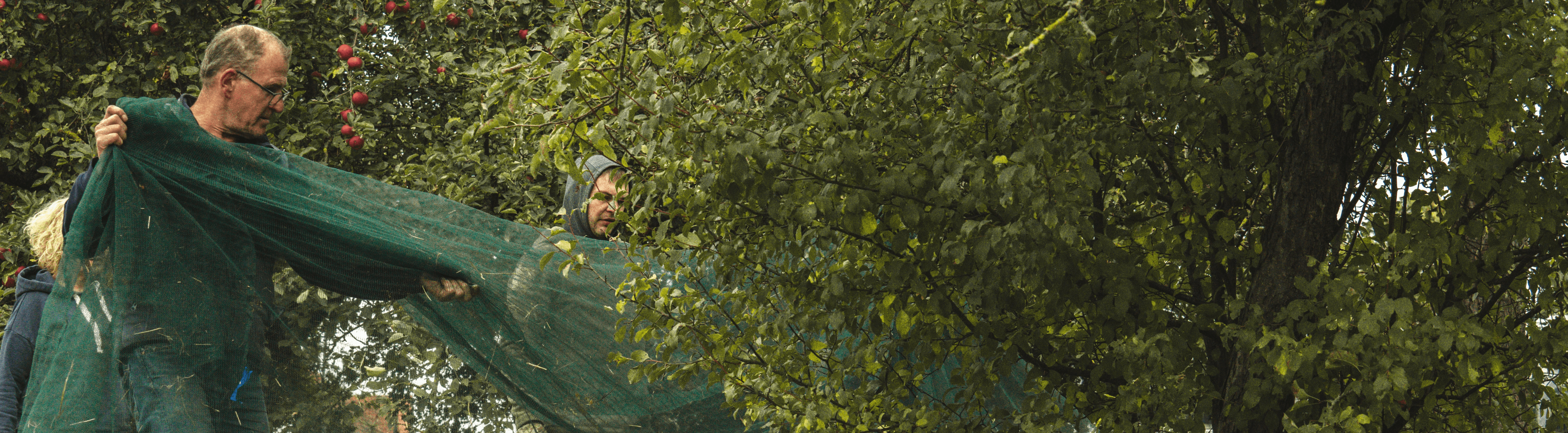 Two men greeting with hand