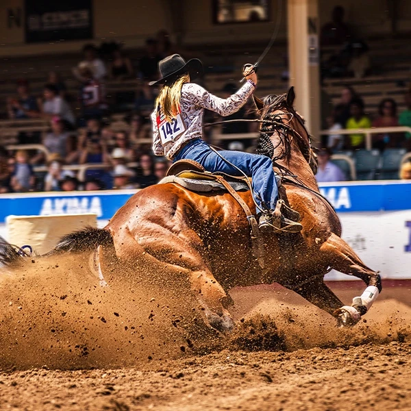 Woman and her horse are racing around a barrel in an arena with the crowd in the background