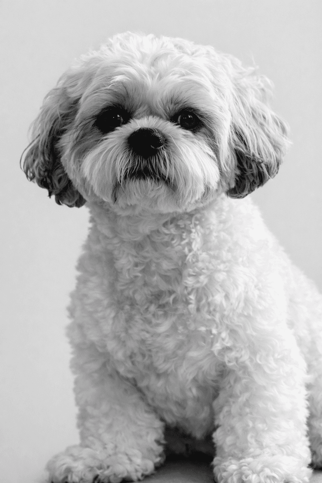 Portrait of a woman.