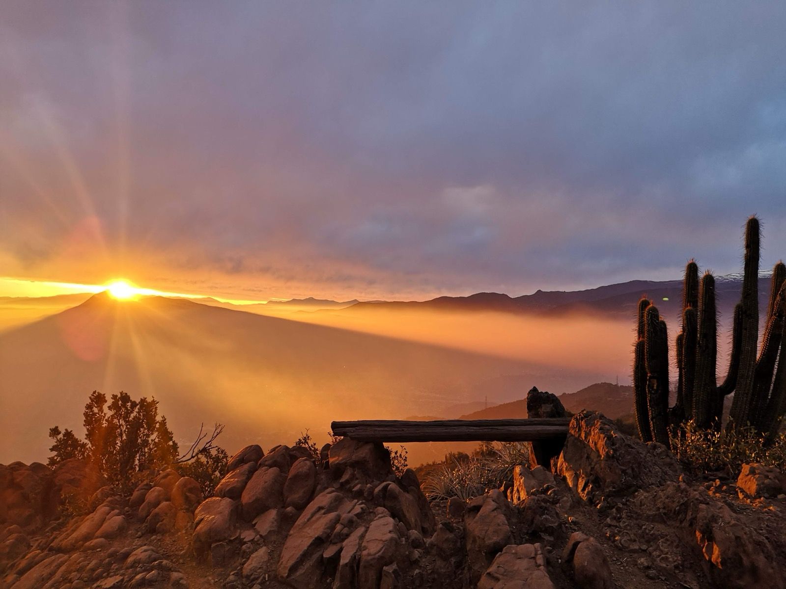 five children smiling while doing peace hand sign