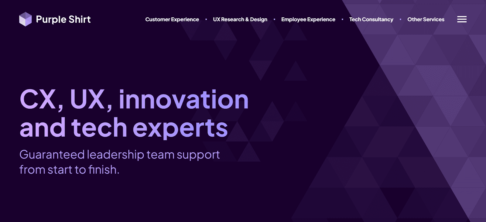 Purple Shirt One of the Best Usability Research Experts in Oceania