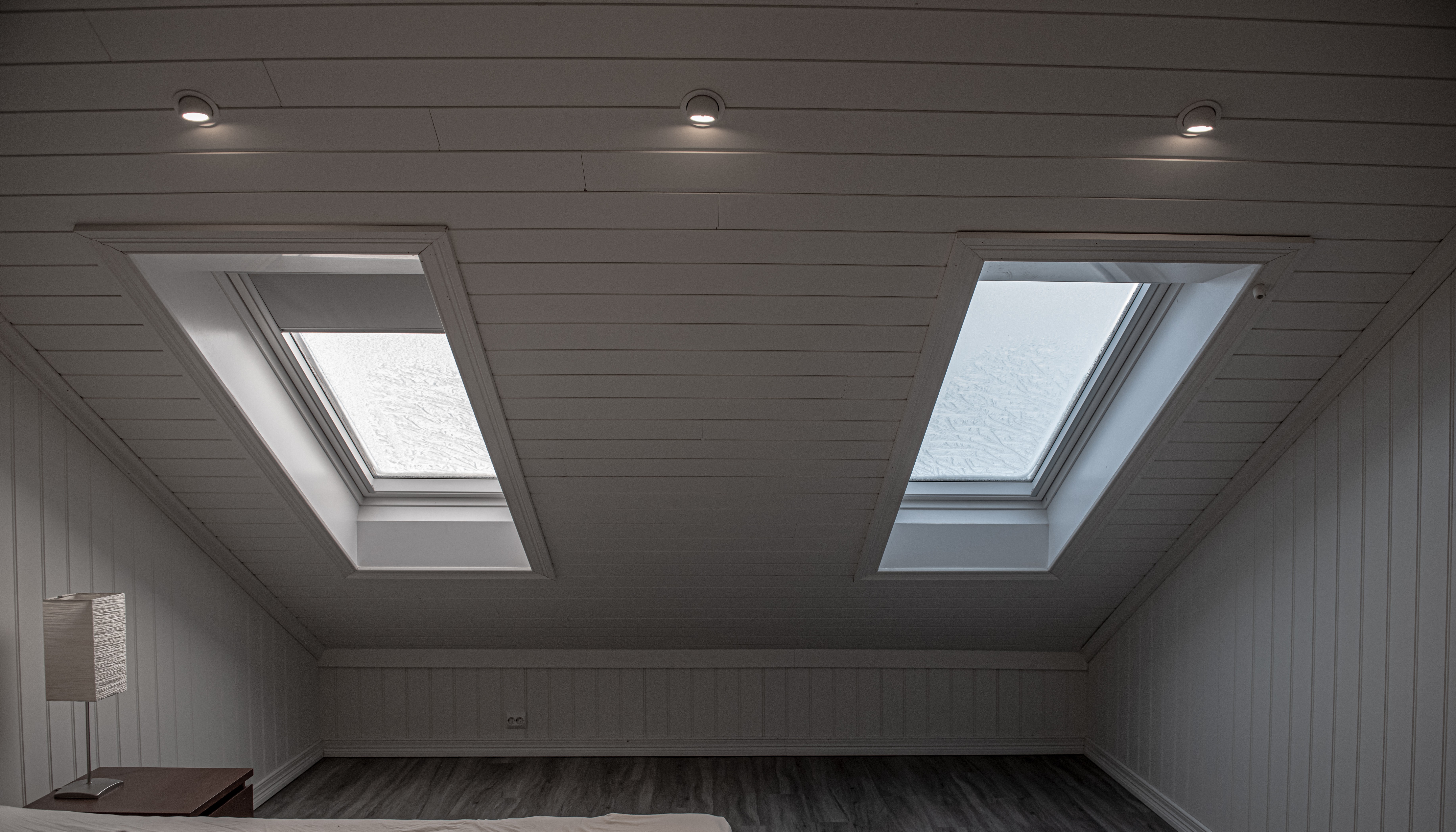 bonus room skylight