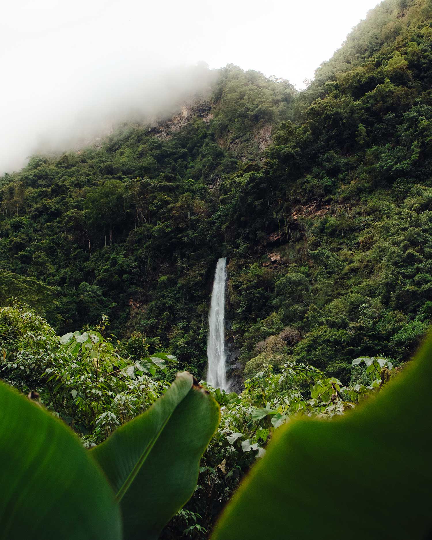cascada-natural-quillabamba-retiro-yoga-selva-peru