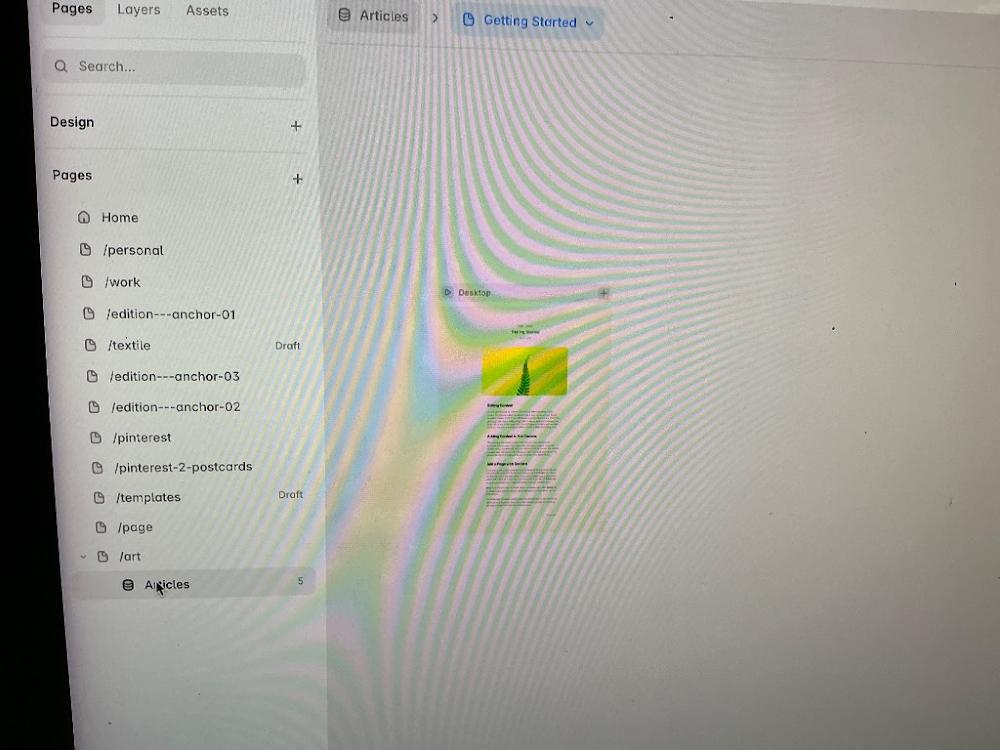 Visually searched image