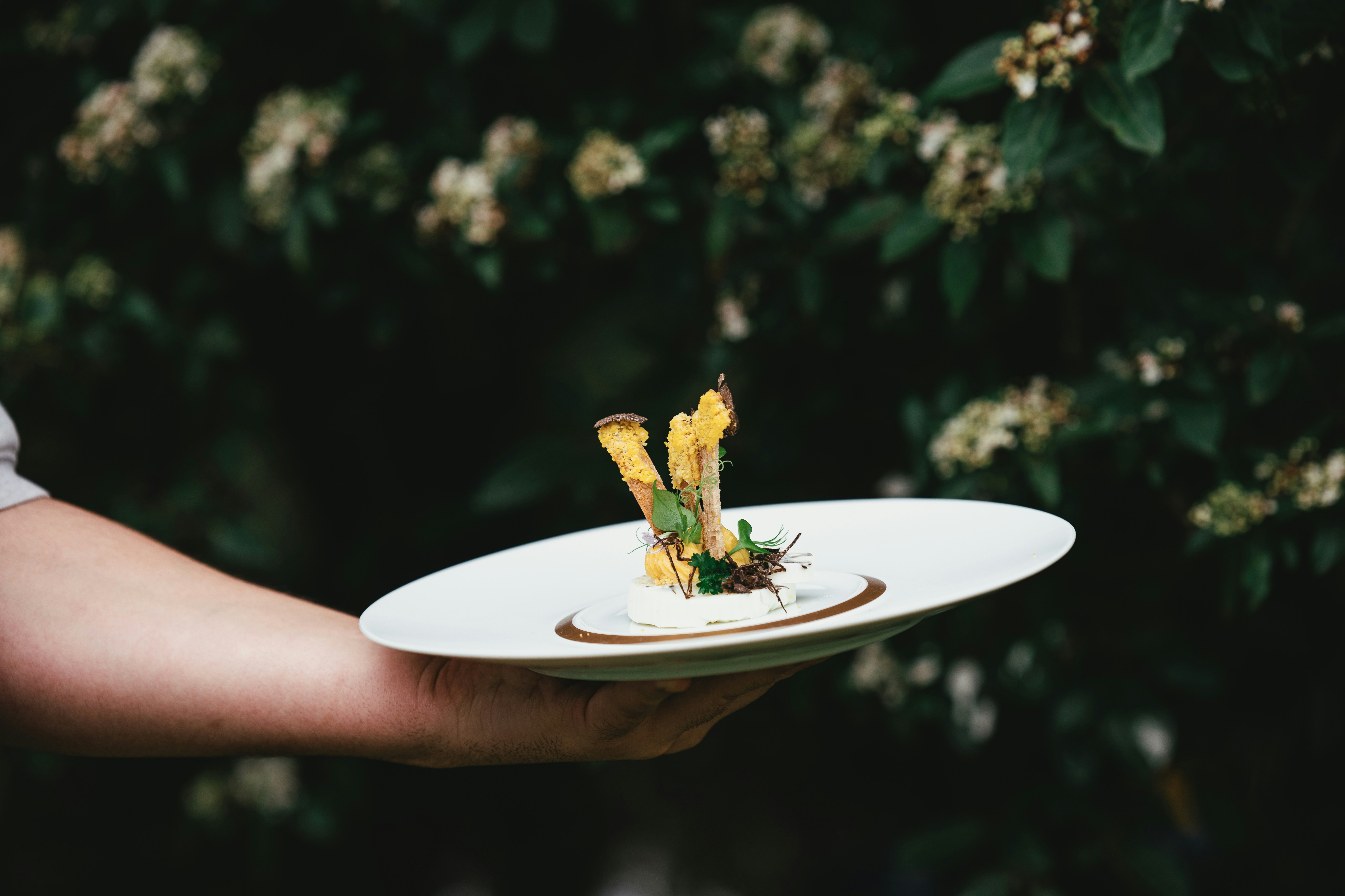 a person holding a plate with food on it