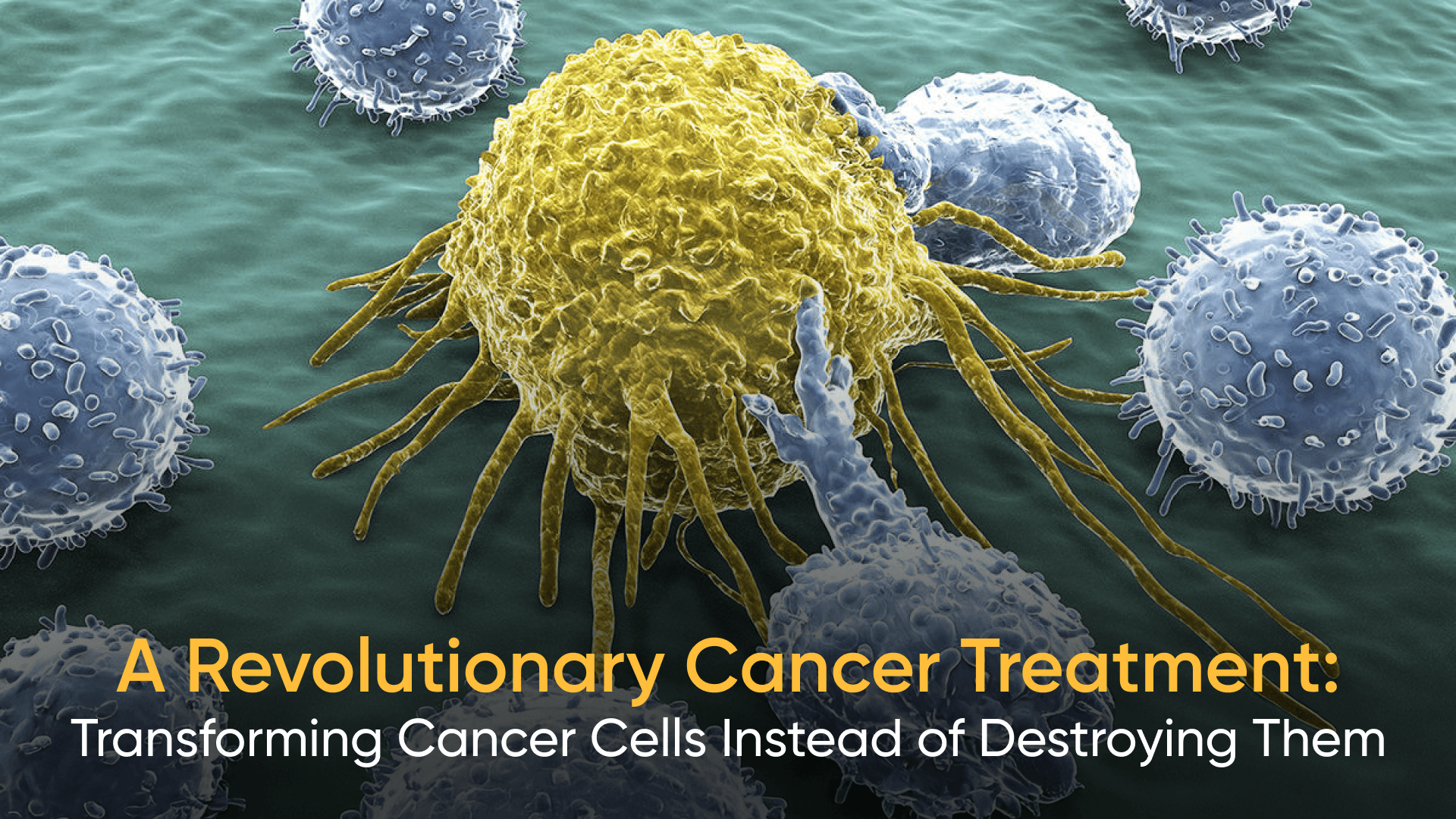 Microscopic view of immune cells interacting with a cancer cell showcasing innovative cancer treatment approach. Revolutionary cancer therapy, Digital twin technology in oncology, Future of cancer treatment