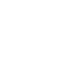 cocktail bartender icon