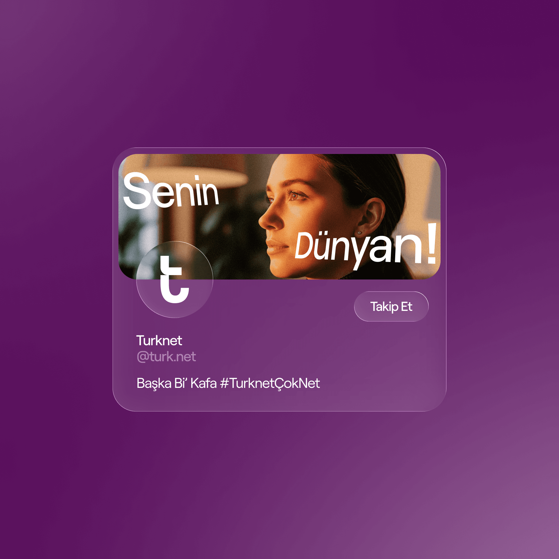 Project Gallery Image for 50% width of the screen #2