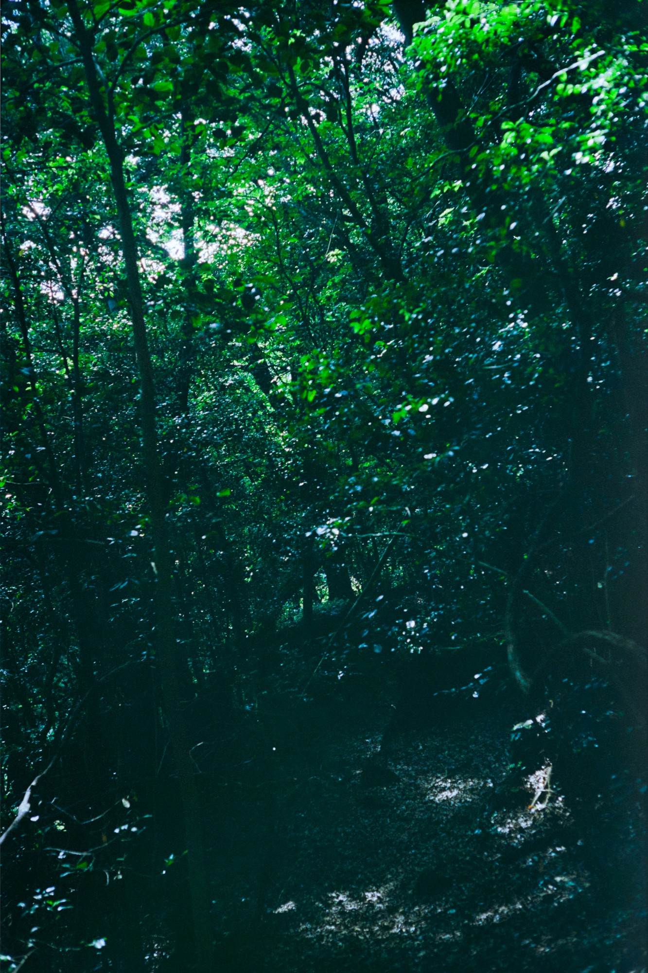 Taisei Matsumoto, 2023 exhibition view 06