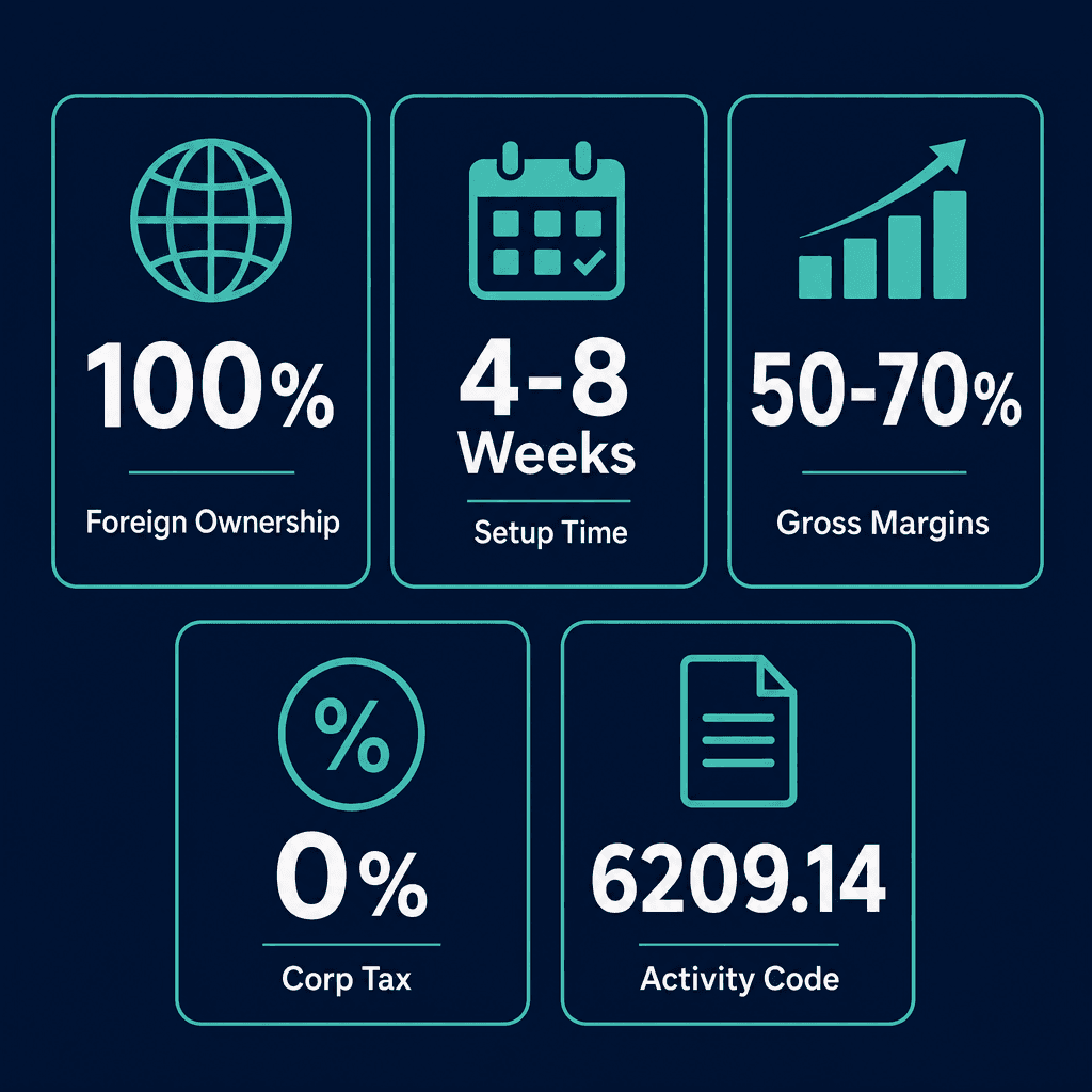 Infographic: Start a Cyber Risk Management Services Business in Dubai