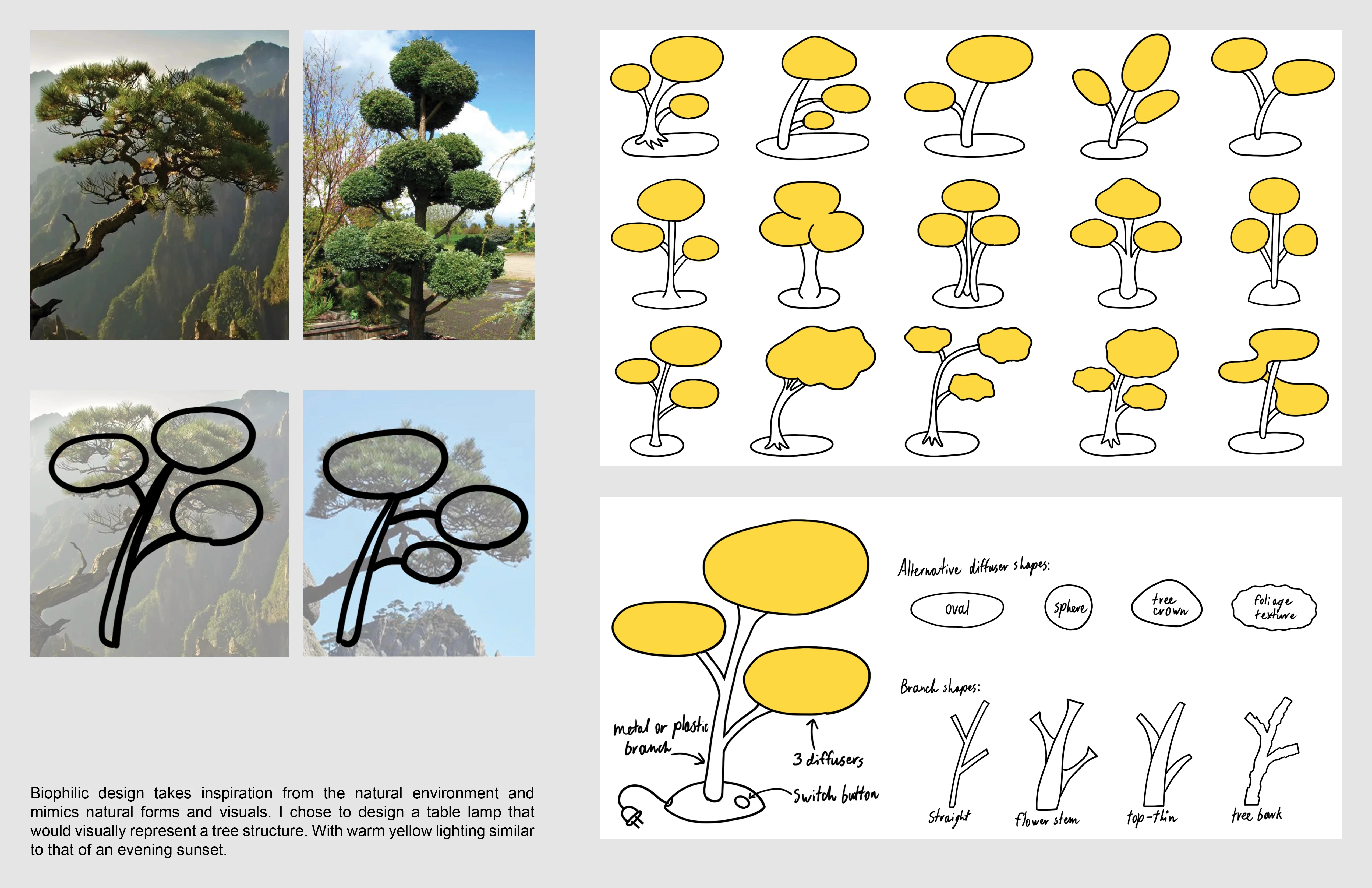 Project background and concept ideation.