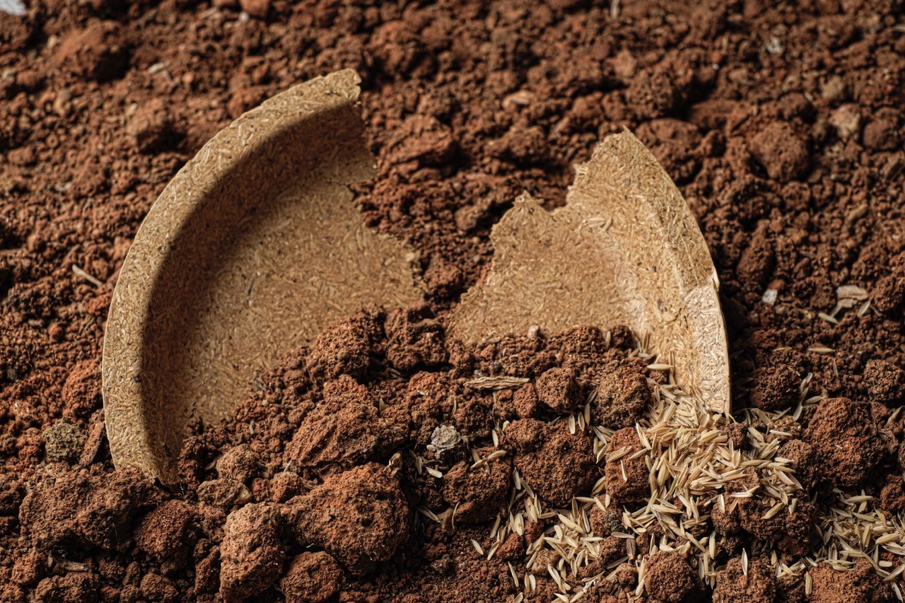 Soil