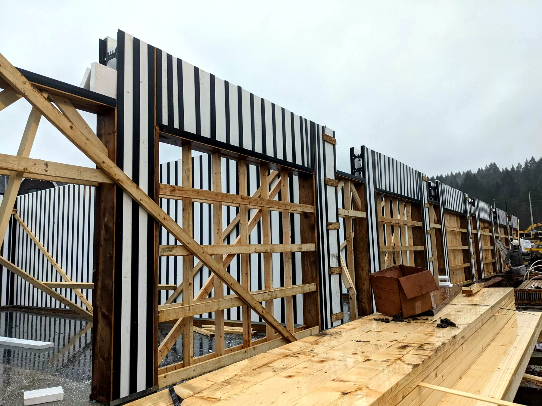 Vancouver Island townhomes - image 4