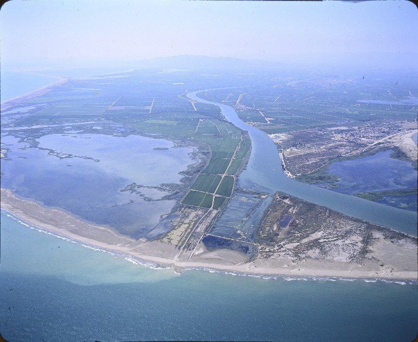 Vistes panoràmiques del Delta de l'Ebre, 2023 - Arxiu Nacional de Catalunya