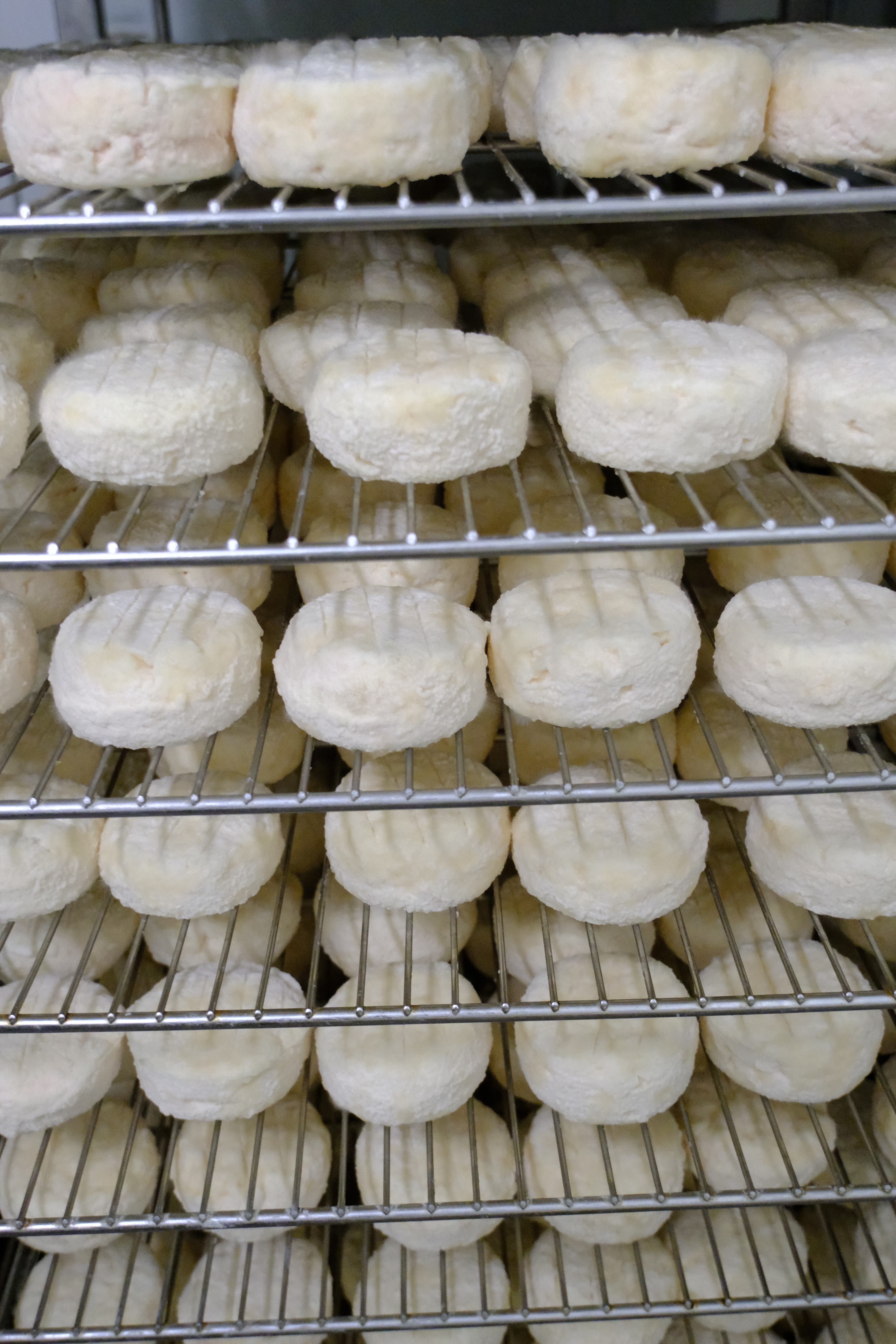 Someone making cheese