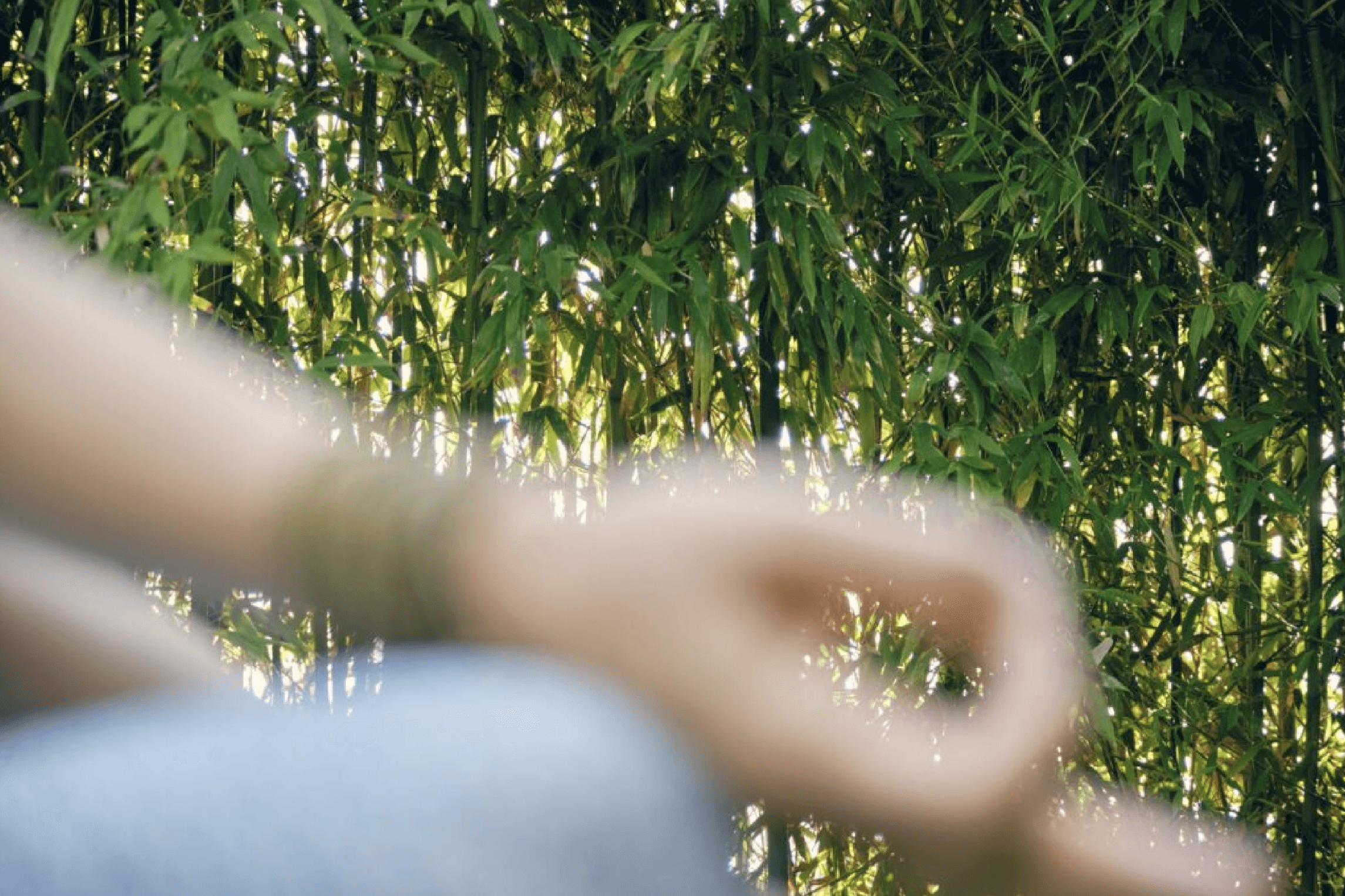 The Art of Touch- The art of adjustments in yoga