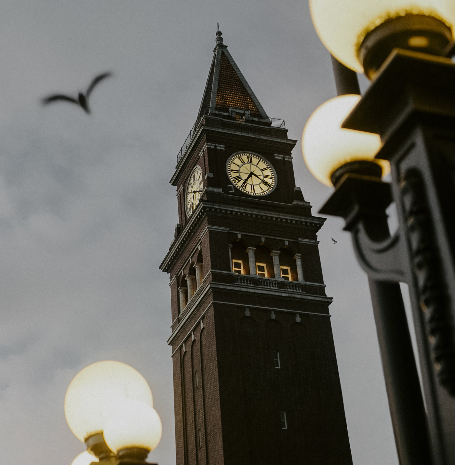 Clock tower of King Street Station in Seattle at dusk, with lit street lamps and a bird in flight against a cloudy sky.