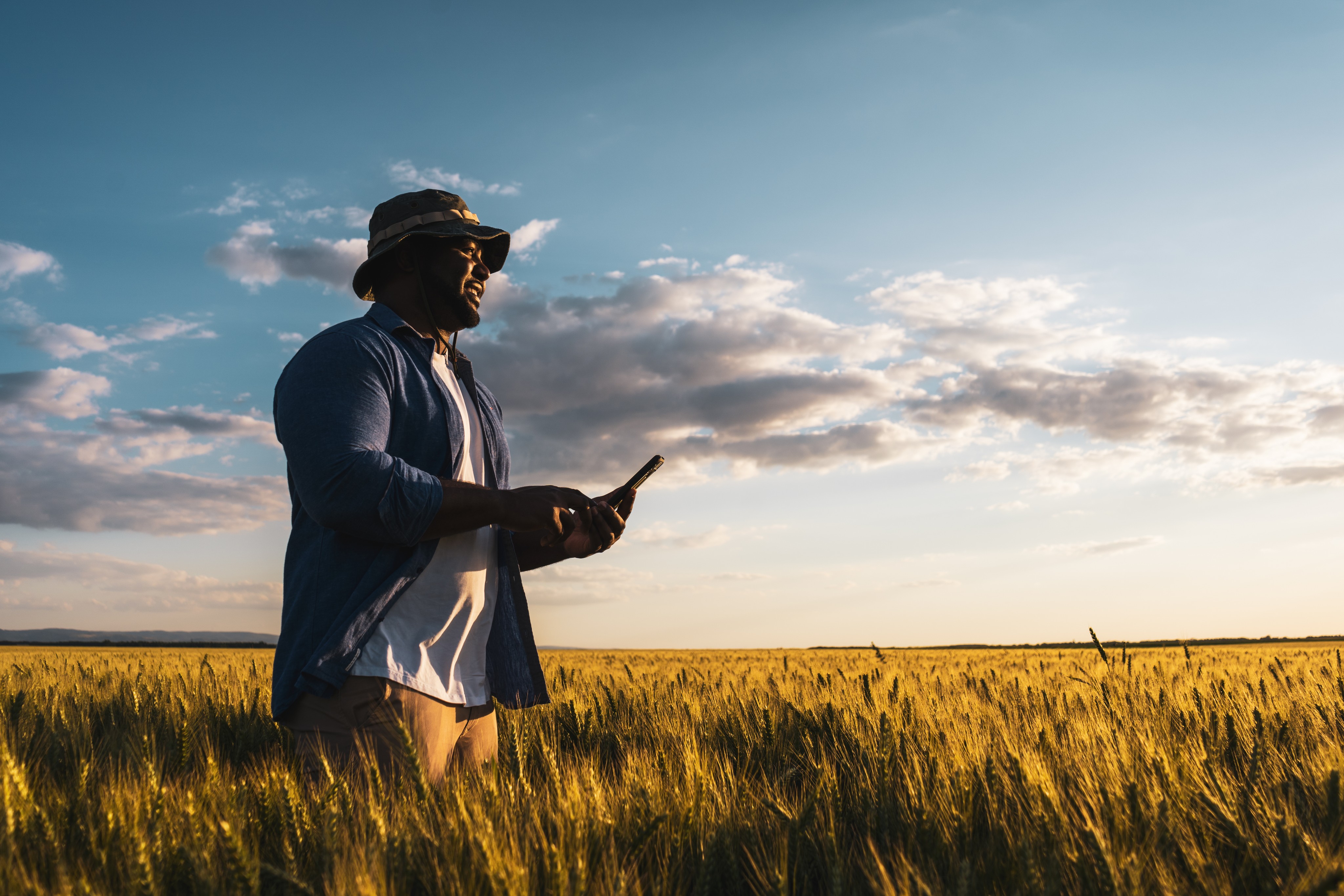 A farmer standing in a golden wheat field at sunset, wearing a bucket hat and casual clothing, checking his smartphone.